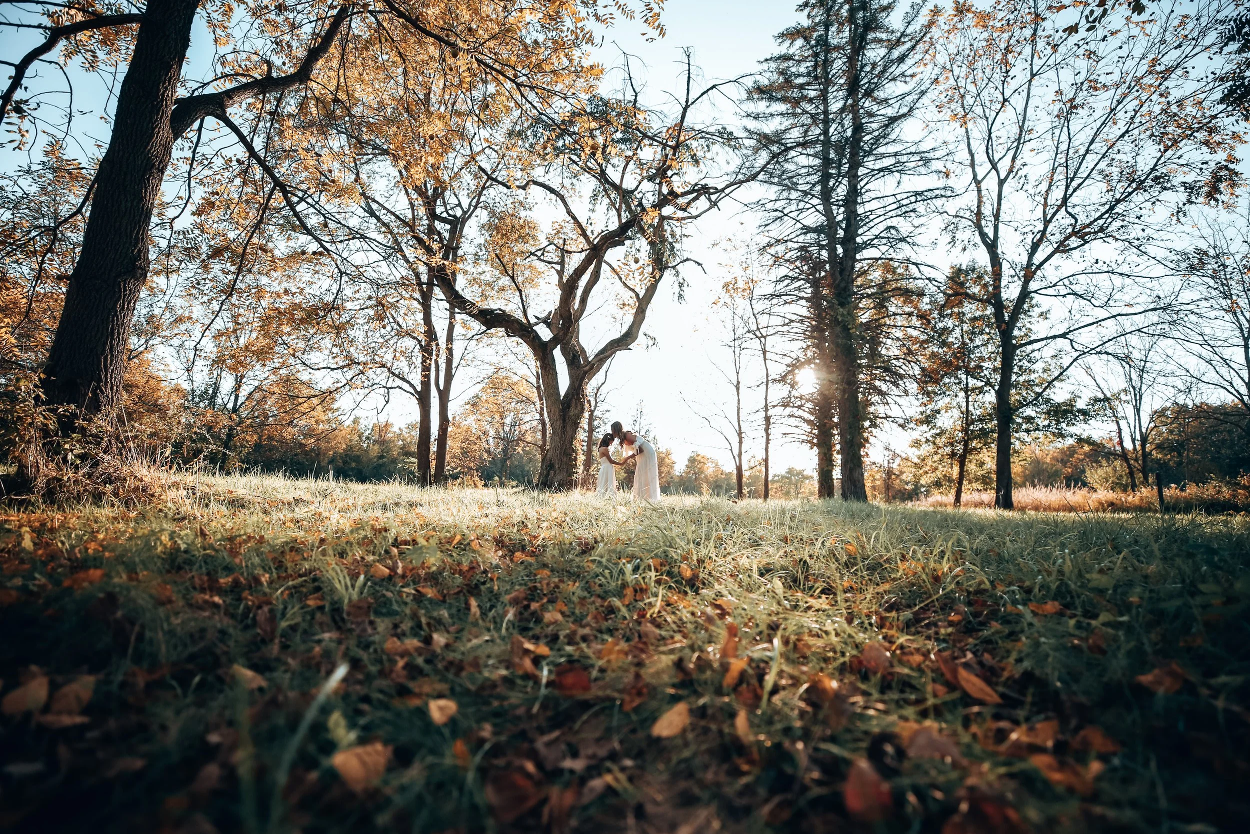 Two women in white dresses stand together under large trees in a sunlit park during autumn, exchanging a kiss.