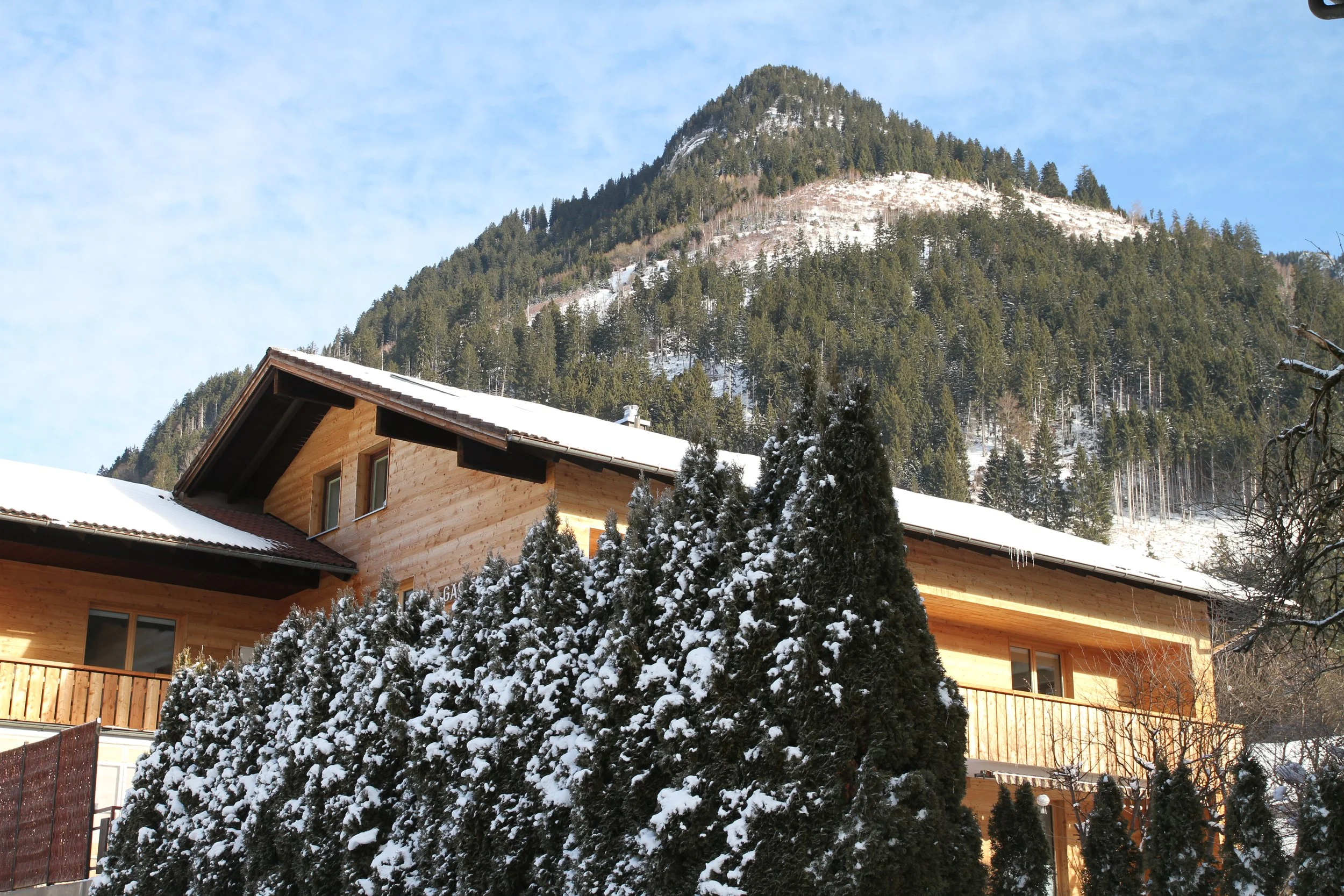 Holzhaus mit schneebedecktem Dach, umgeben von schneebedeuerten Bäumen, im Hintergrund ein bewaldeter Berg unter blauem Himmel.