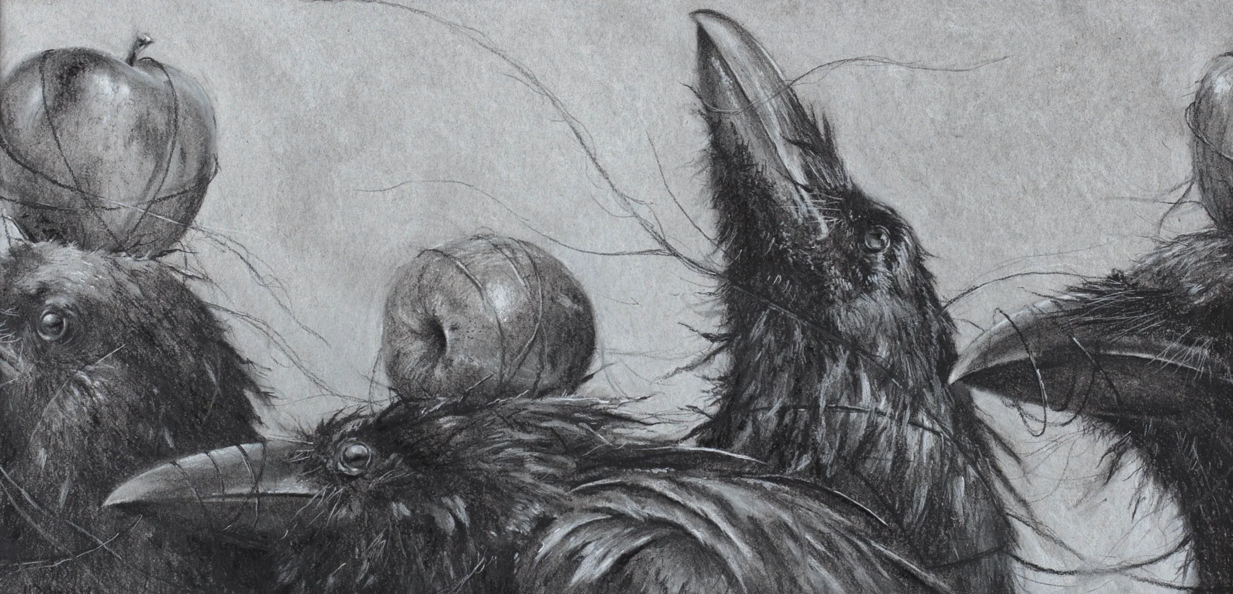 A detailed black and white drawing of several birds with dark feathers and pointed beaks, some appear to be chickadees or similar small songbirds. They are surrounded by round objects resembling stones or large seeds, with fine line details depicting feathers and textures.