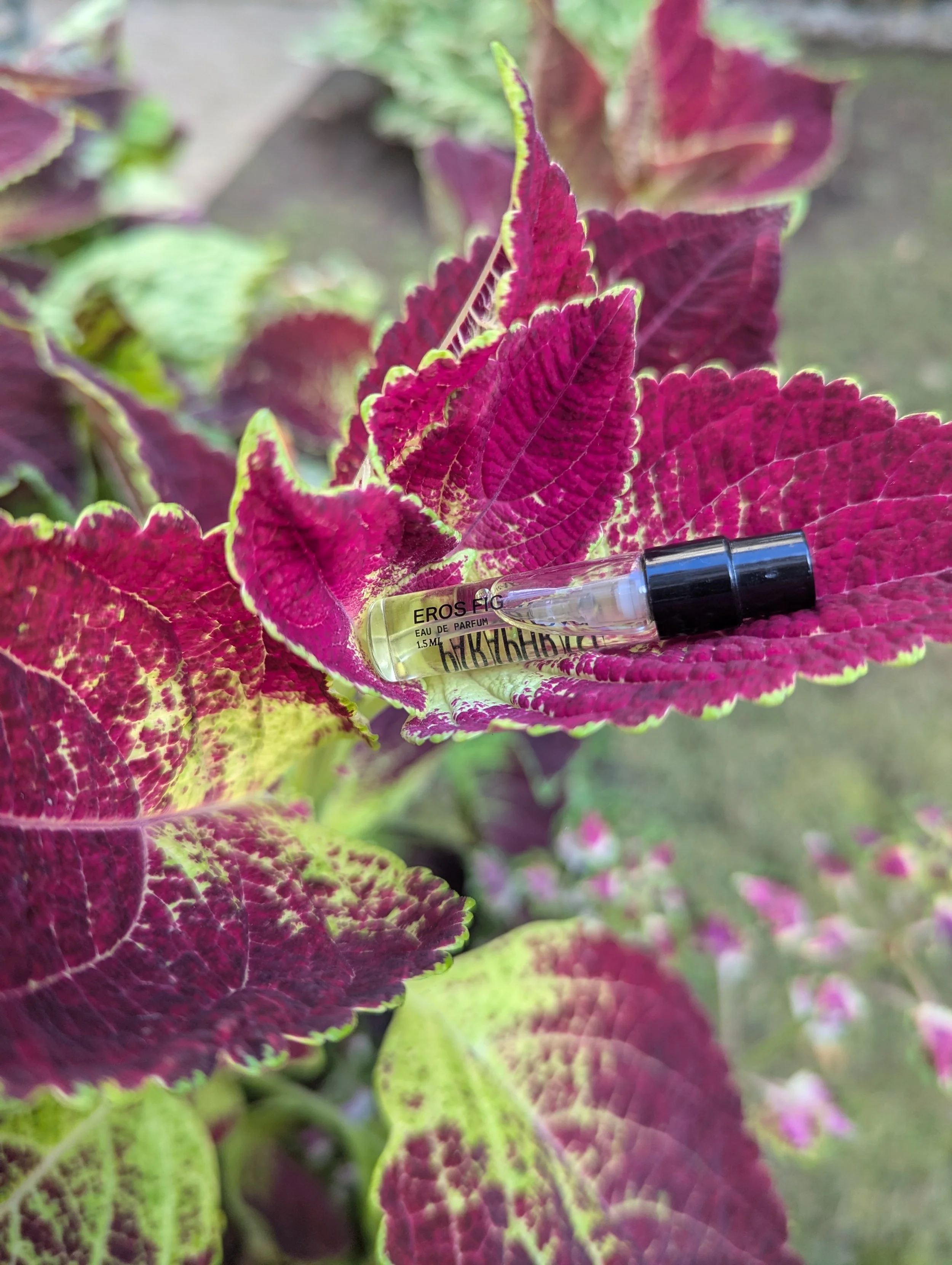 A small perfume bottle labeled 'Eros Fig' resting on colorful variegated leaves with purple, green, and pink hues.