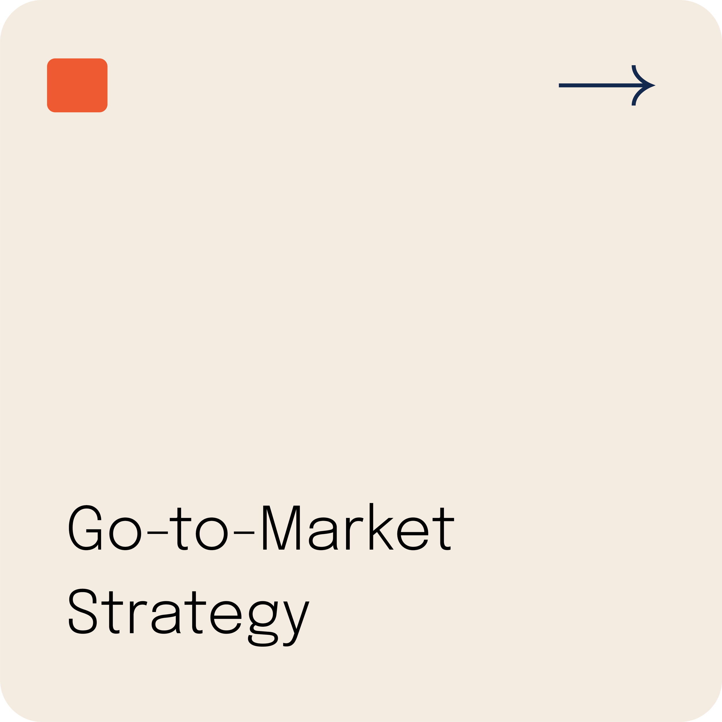 Go-to-Market Strategy
