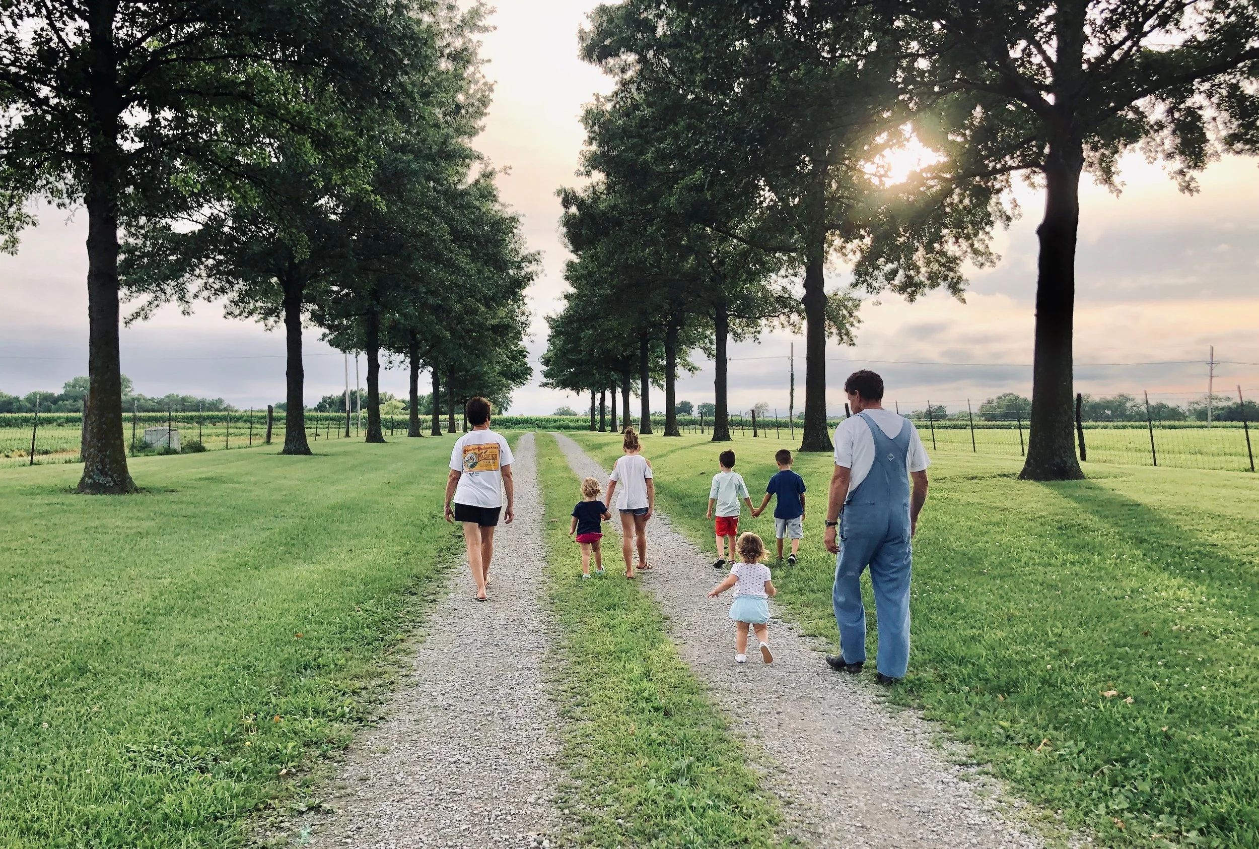 A group of children and two adults walking down a gravel path lined with tall trees on a cloudy day.
