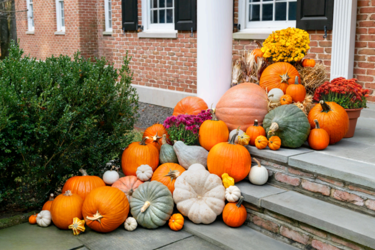 Pumpkins and fall decorations on the front porch of a brick house, with a bush on the left side.