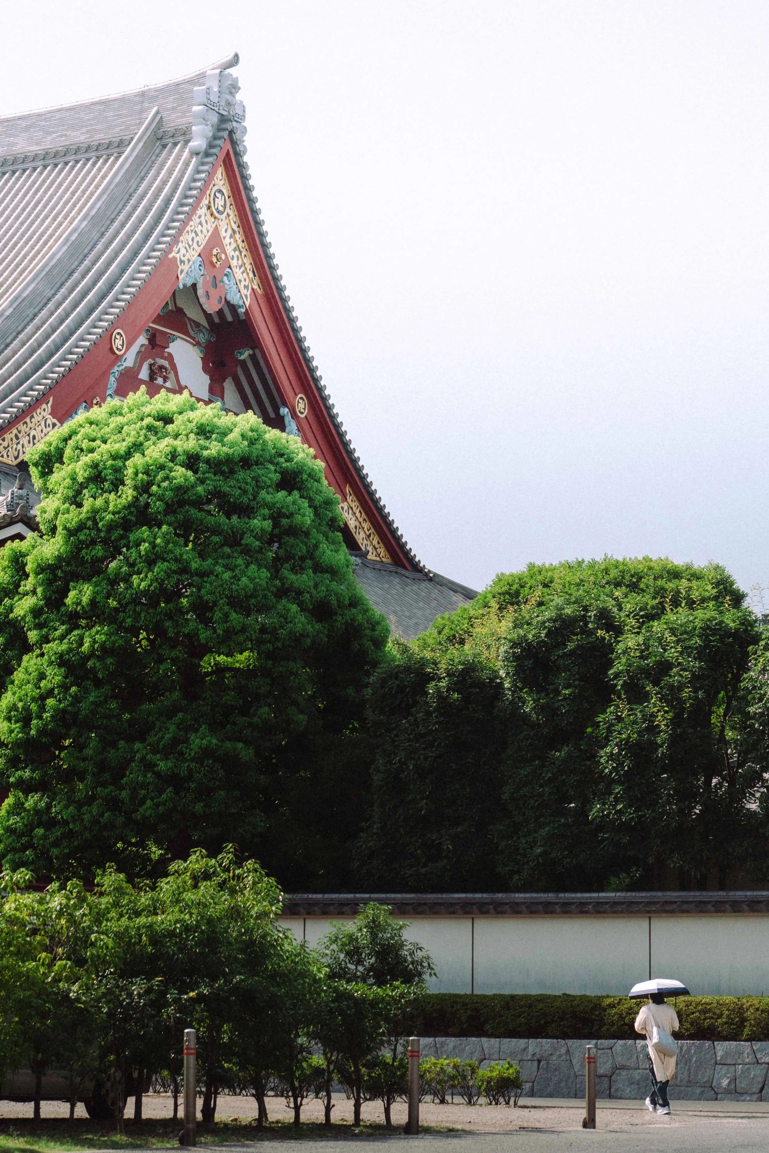 Japan street photo.jpg