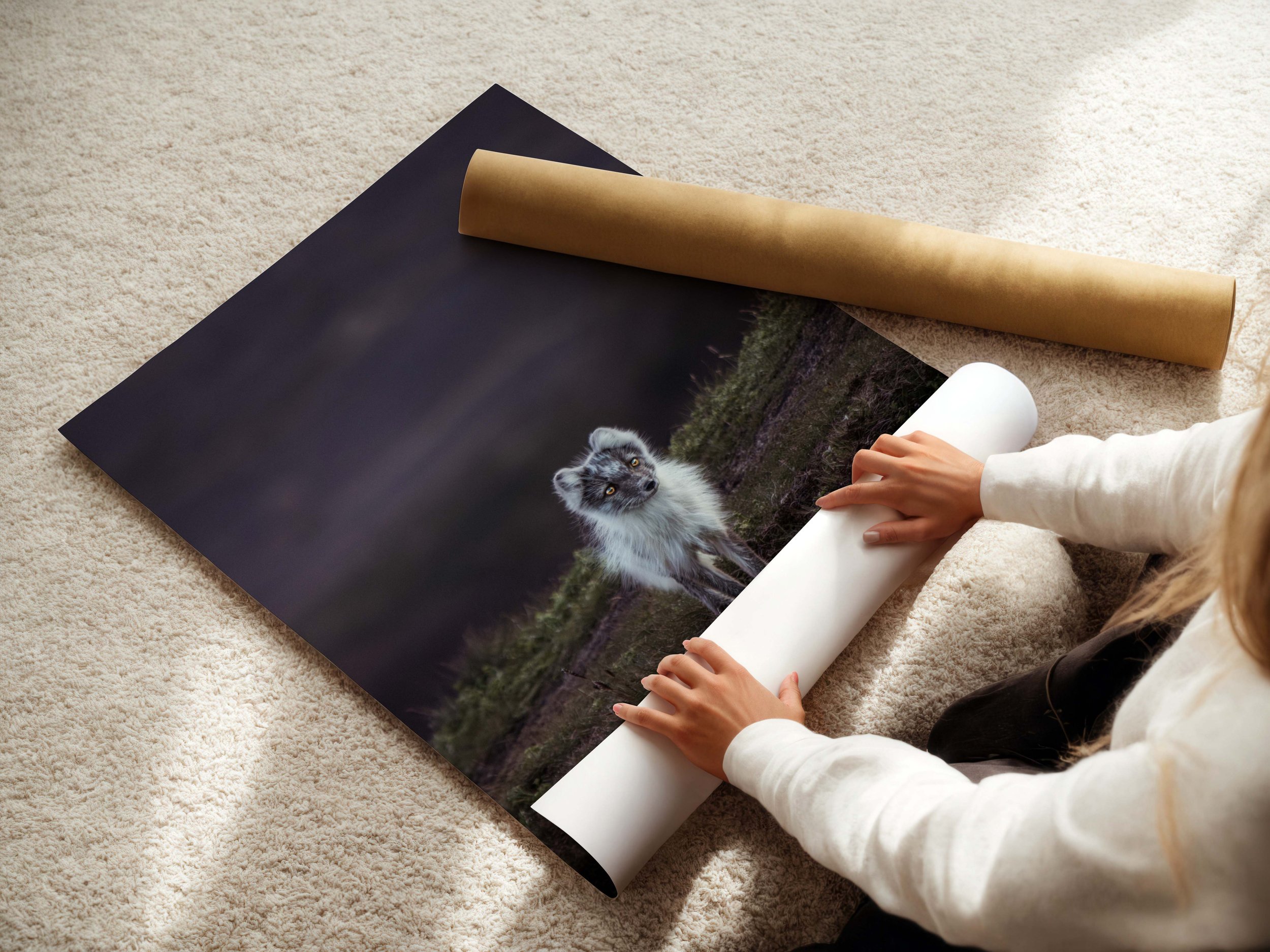 midnight fox mockup.jpg