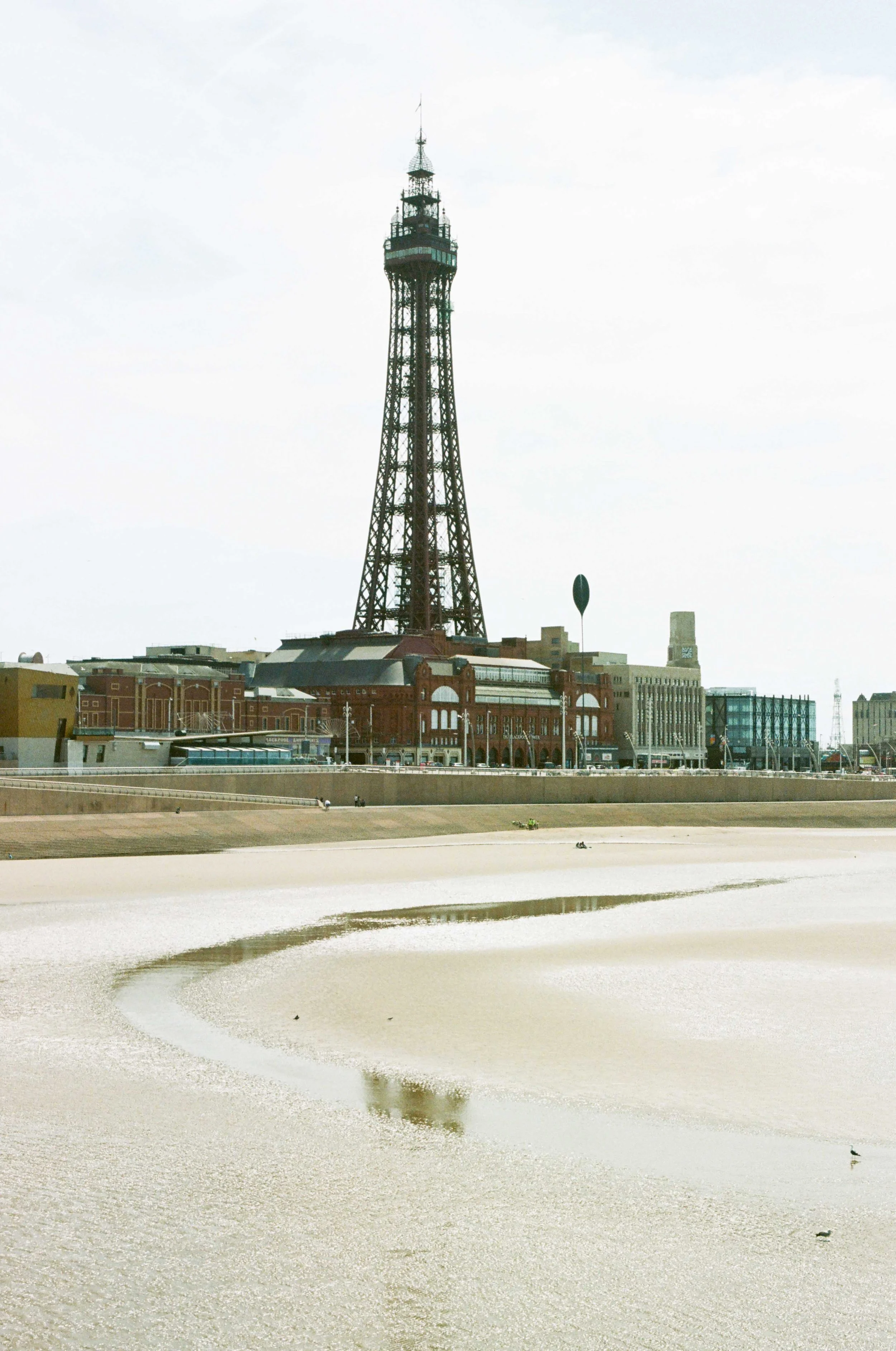 131028020032 copy.jpg