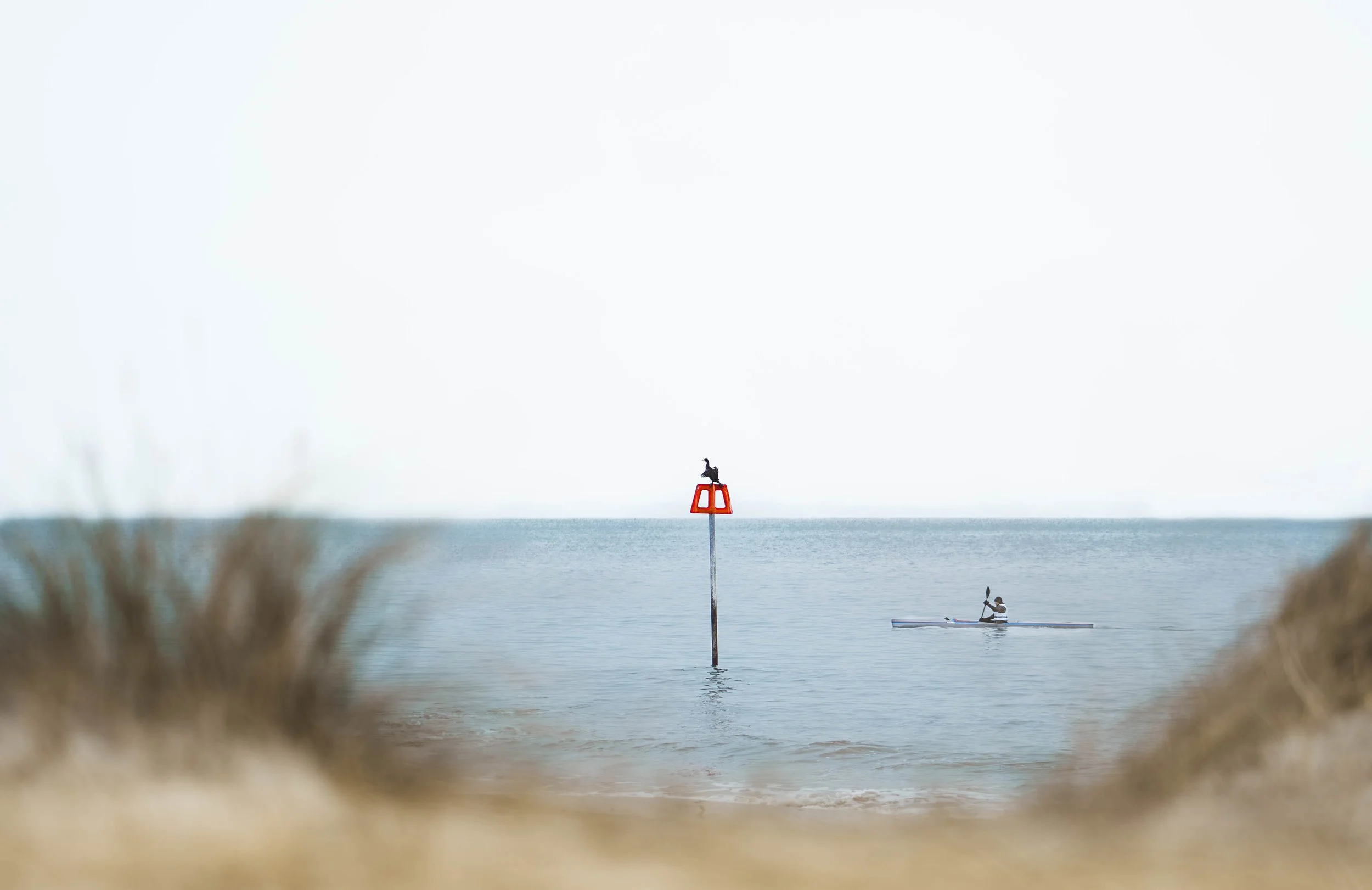 Heginstbury head beach photography.jpg