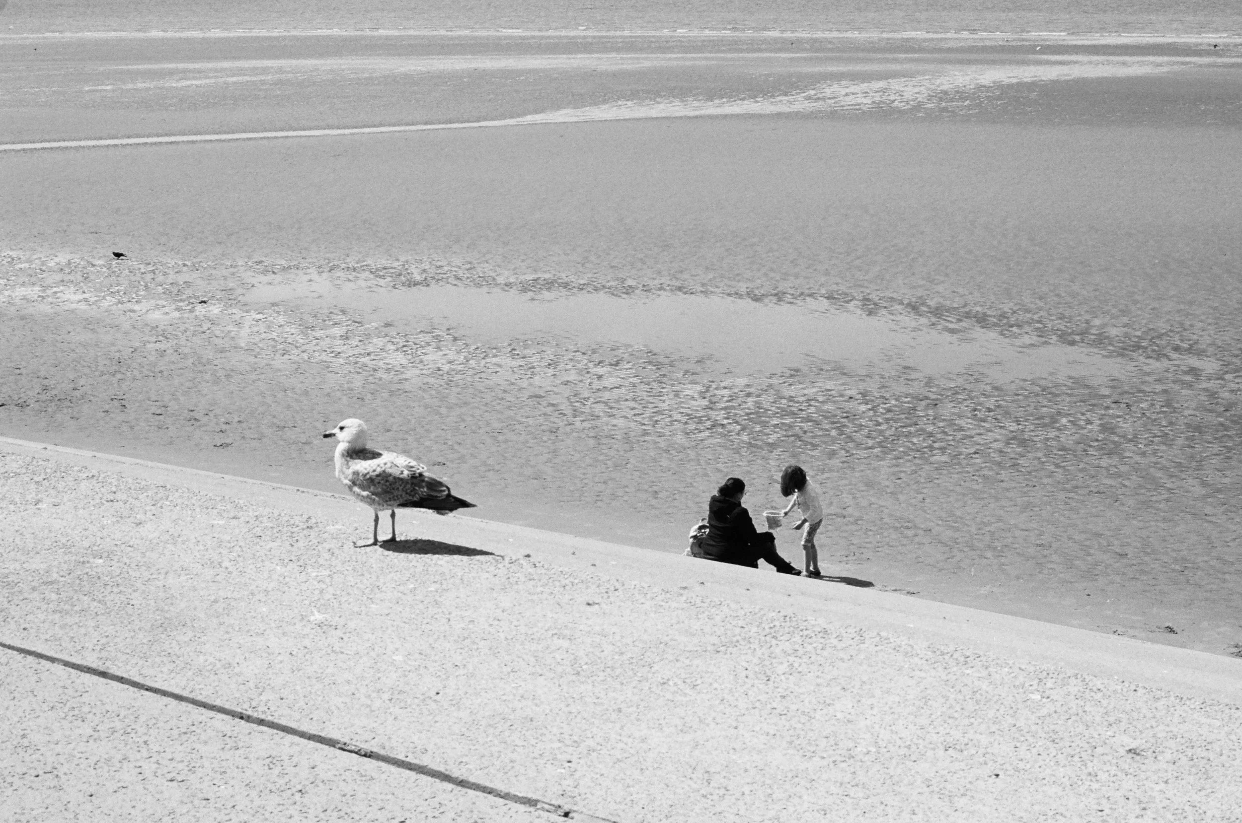 131028020027 copy.jpg