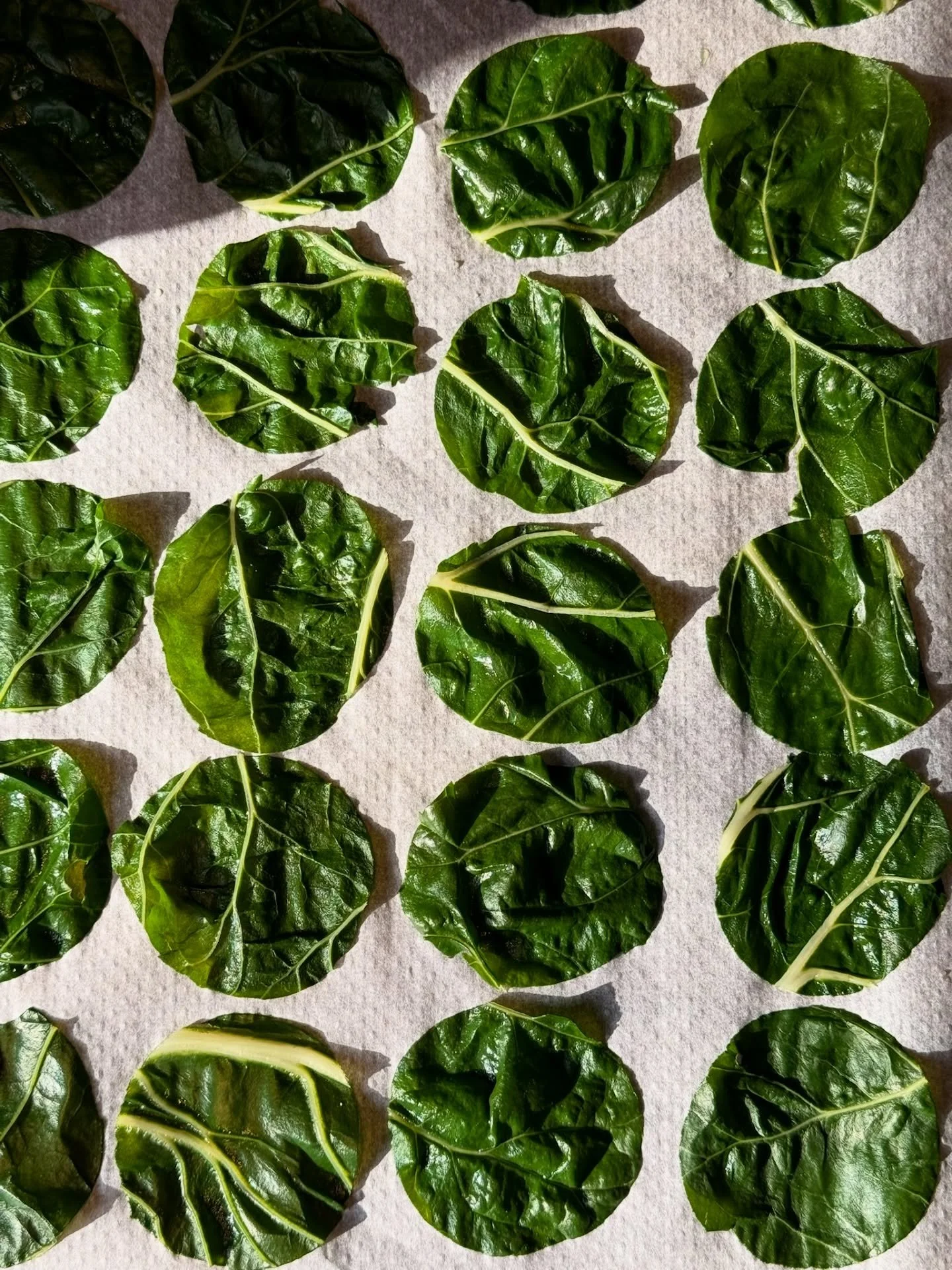 D&eacute;couvrez nos diff&eacute;rentes pi&egrave;ces cocktail 🤍

Traiteur | Chefs priv&eacute;s | &Eacute;vents | Brunch