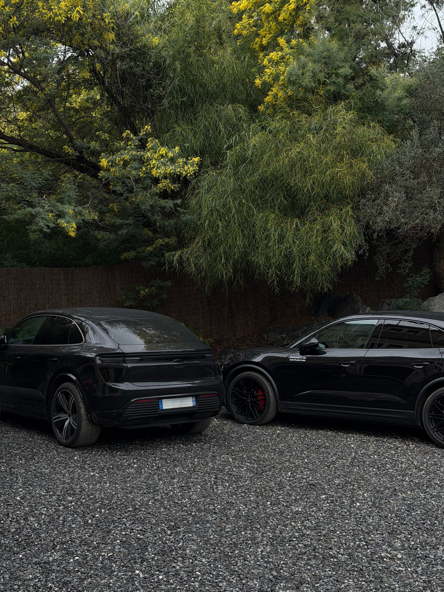 Buffet Porsche - Lavandou