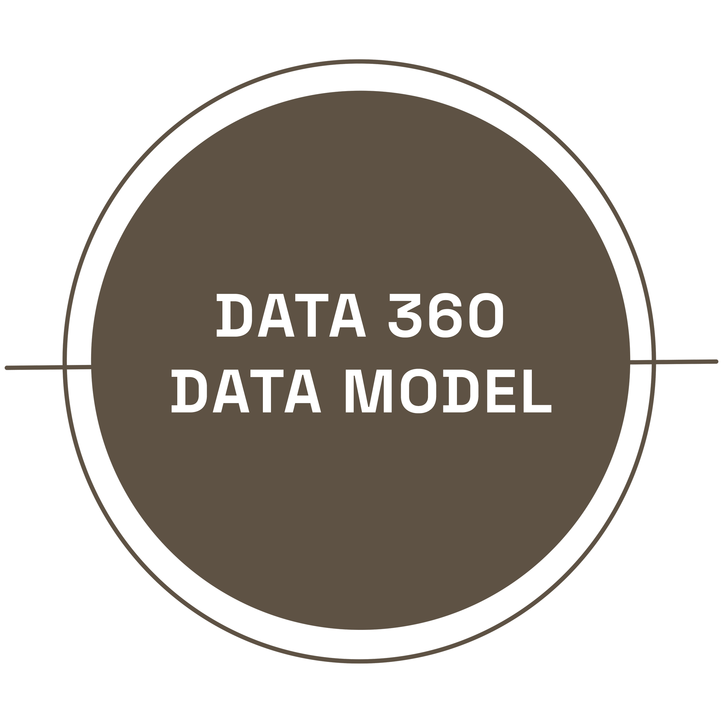 data 360 data model icon