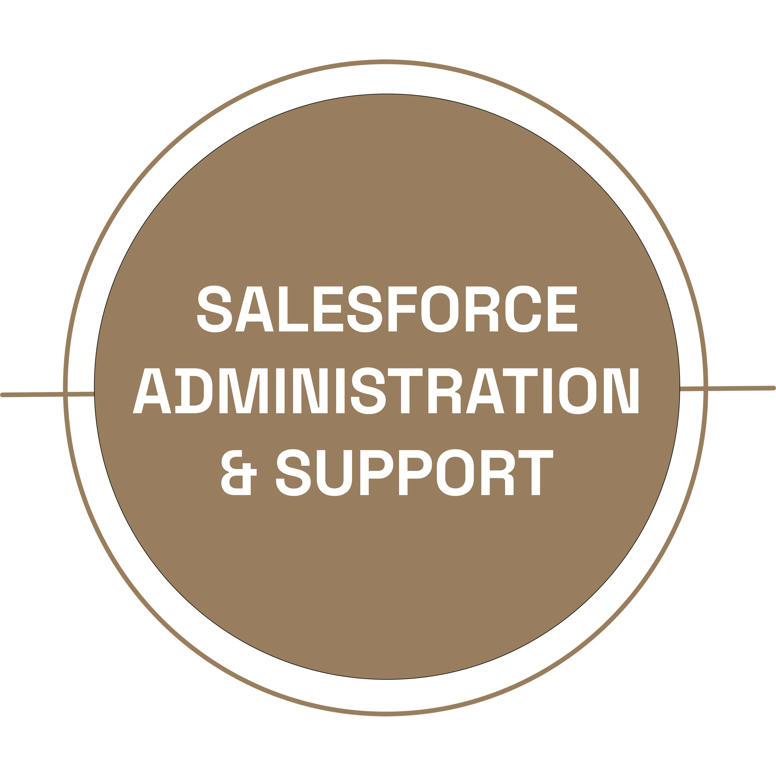 Graph with a brown circle containing the text 'Salesforce Administration & Support' in white, surrounded by a black background with a beige border.