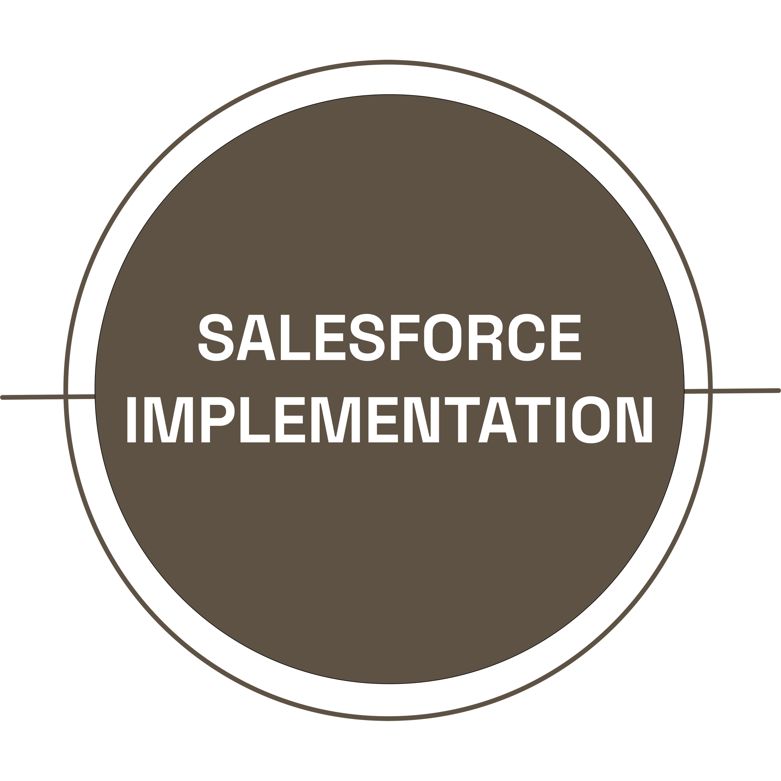 Circular diagram with concentric circles, labeled 'Salesforce Implementation' in the center.