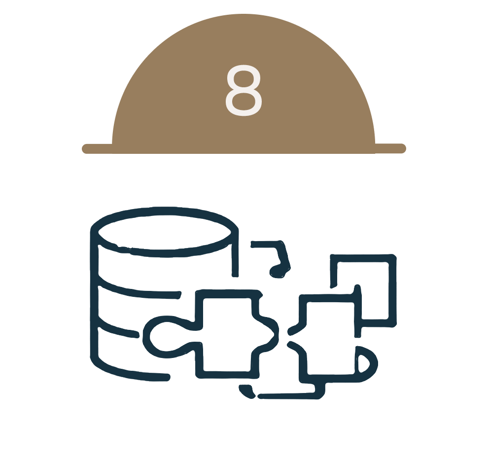 capability big data icon