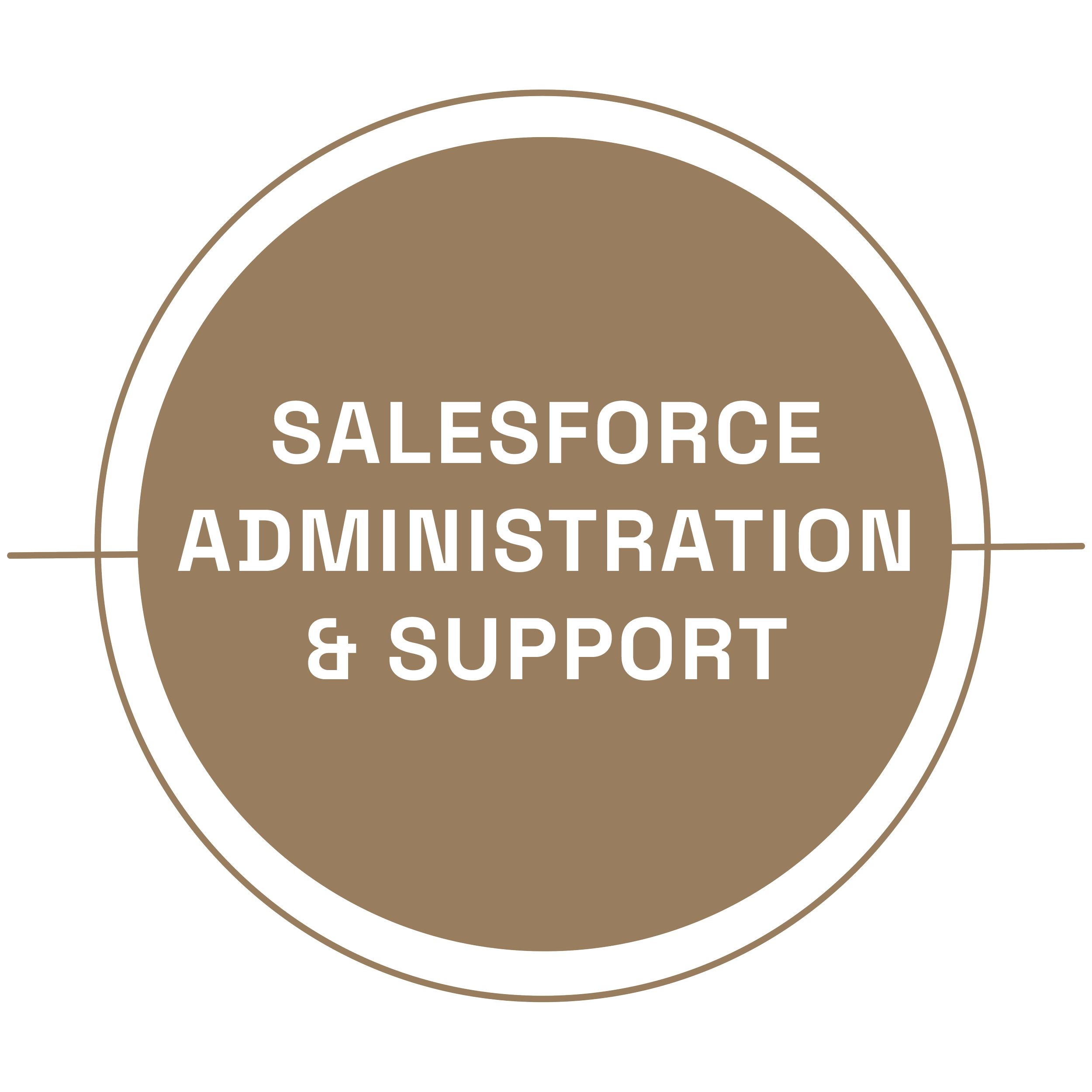service salesforce administration and support icon