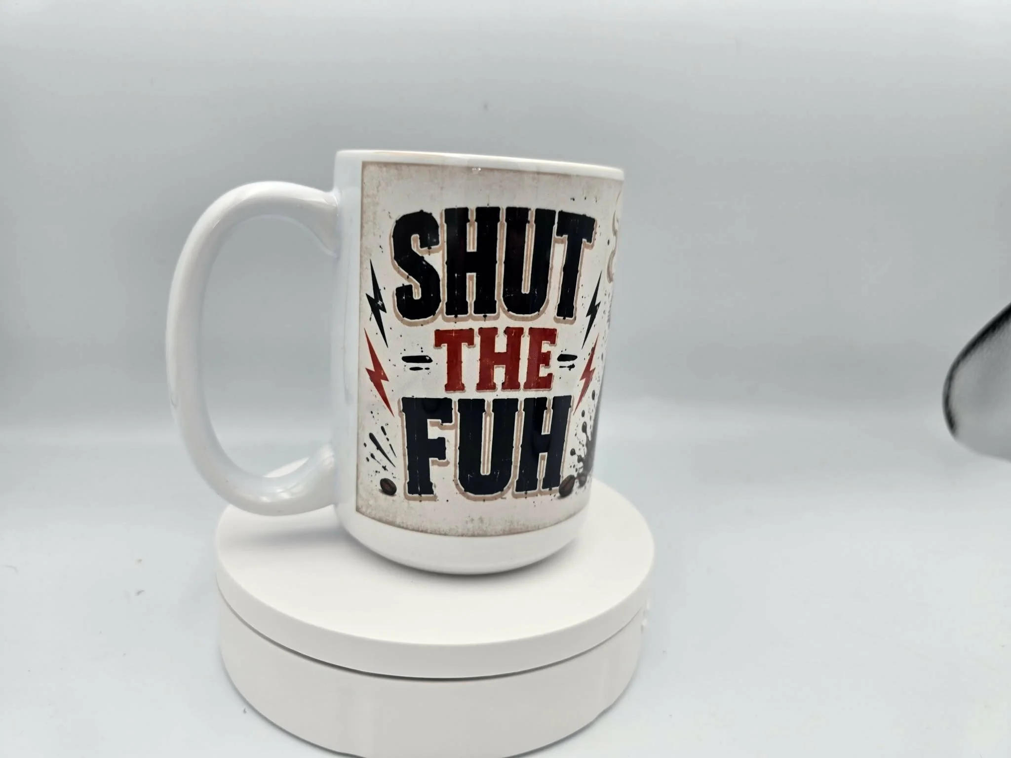 STF Raccoon 3.jpg