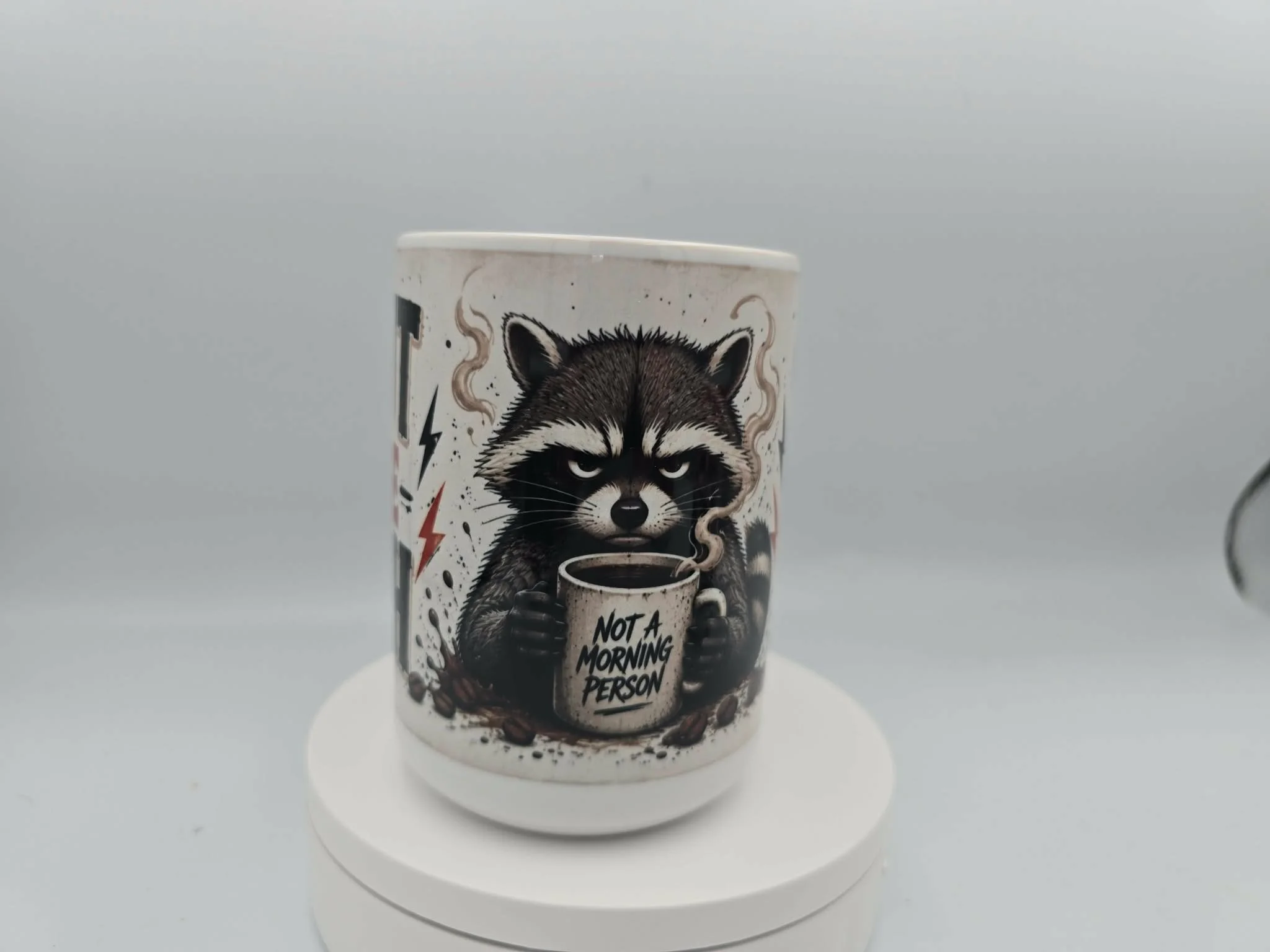 STF Raccoon 2.jpg