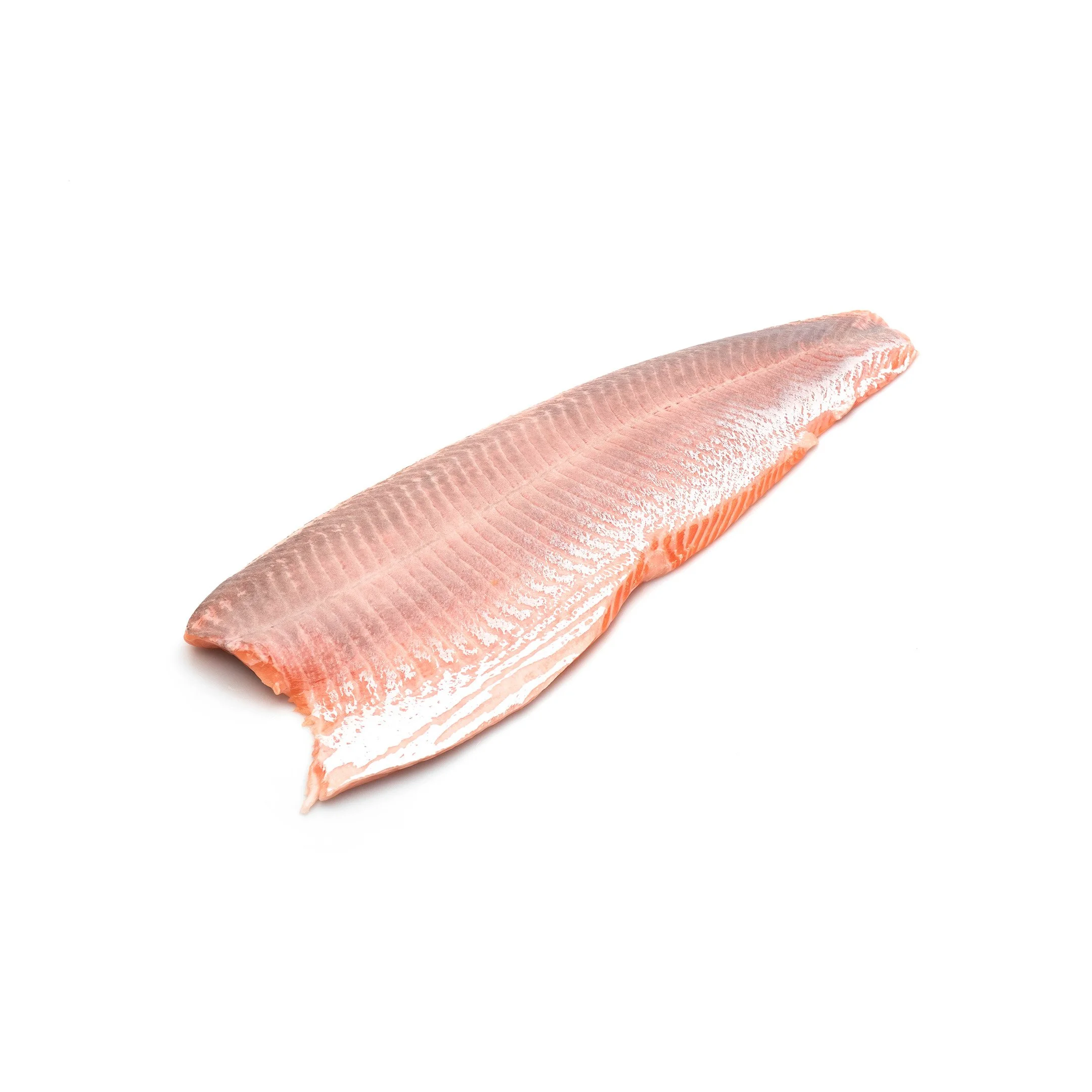 Salmon Fillet Trim E Silverskinned.jpg