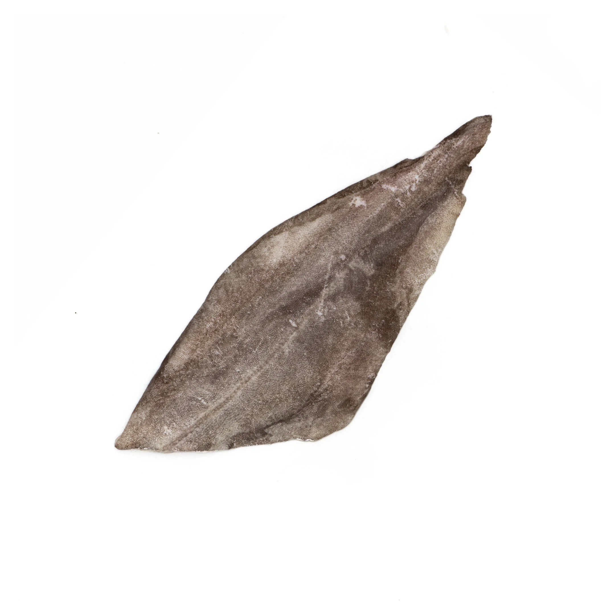 Greenland Halibut Fillet.jpg