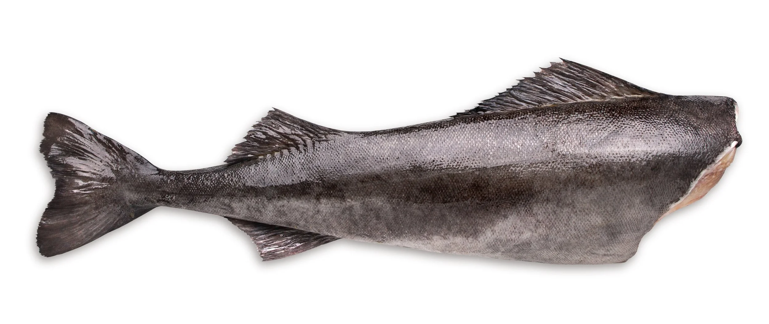 Whole Cod Headless.jpg