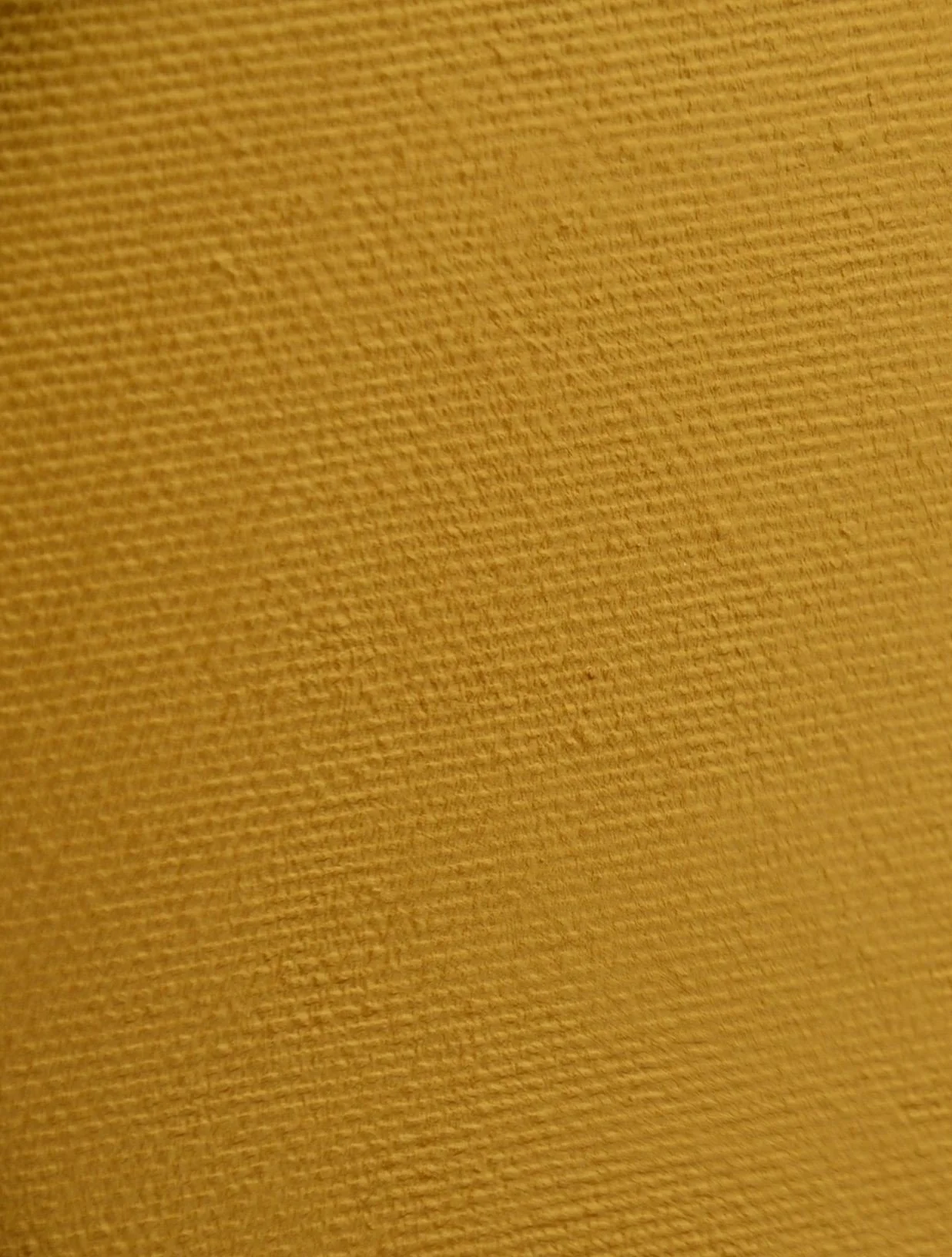 DSC_0678.JPG