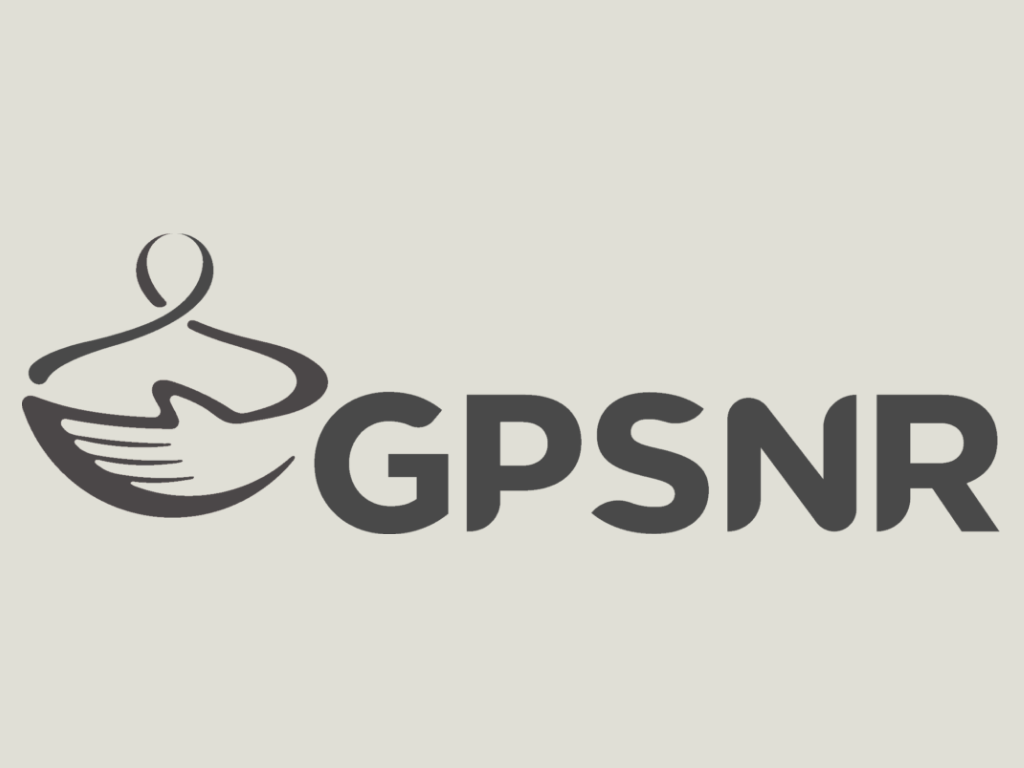 Logo with a stylized bird and the text 'GPSNR'