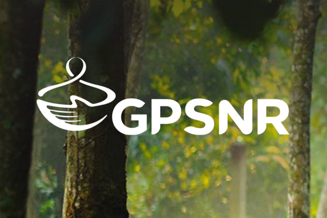 Logo with a stylized swan inside a bowl and the text 'GPSNR' over a forest background.