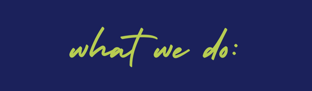 Text that reads 'what we do:' on a dark blue background with light green handwritten-style font.