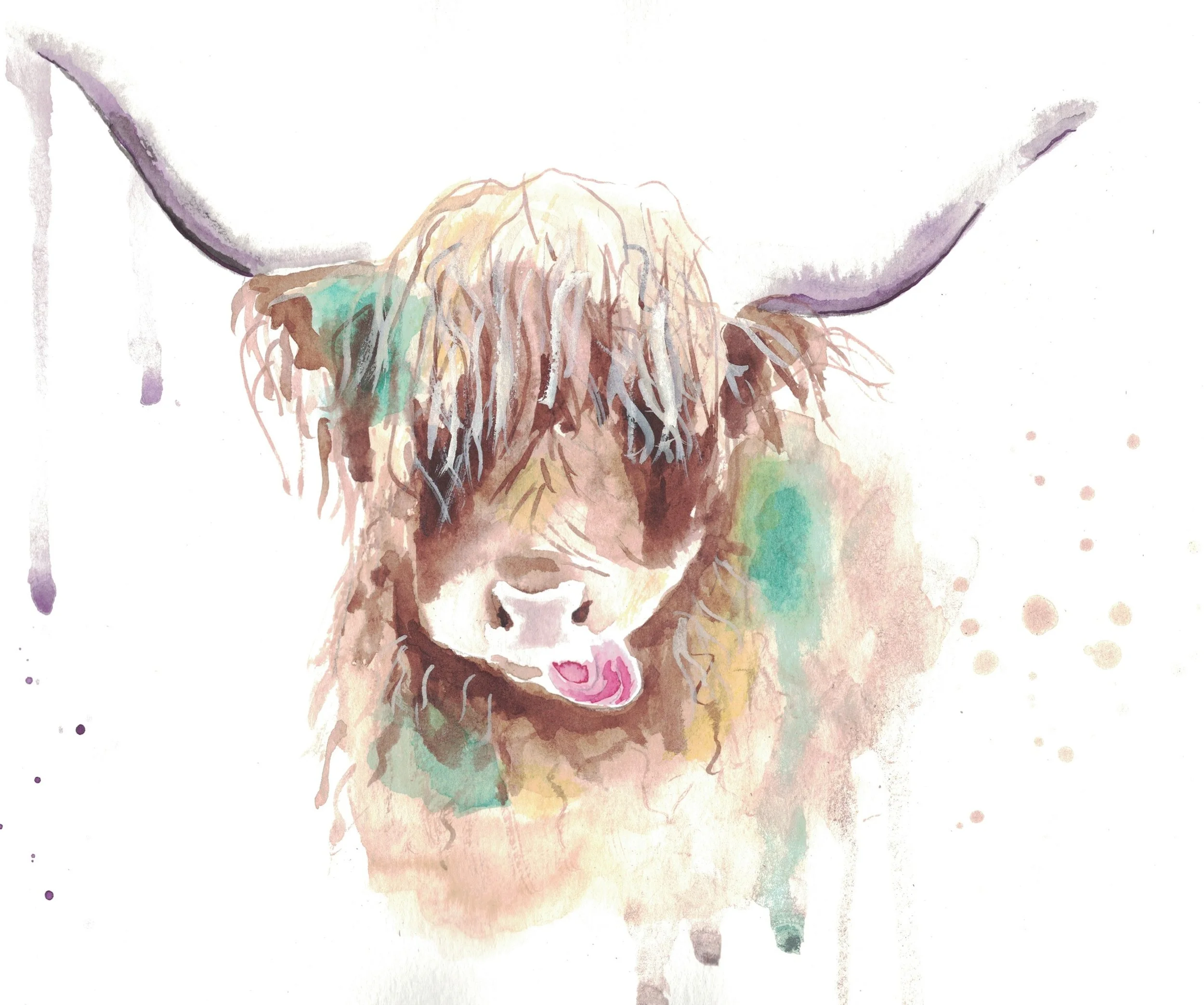 Highland Cow.jpg