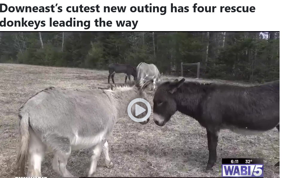 News story