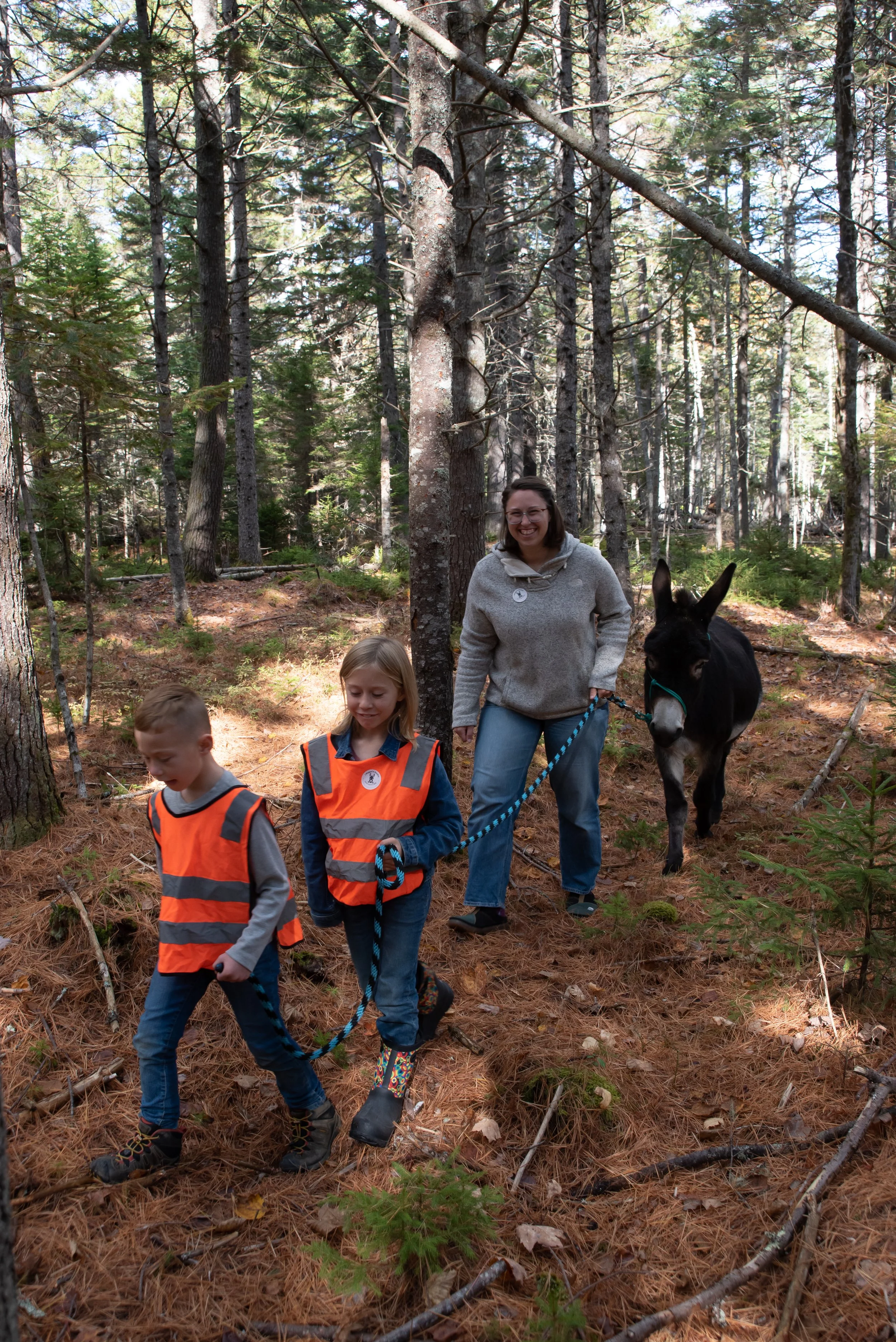 Private Guided Donkey Walk