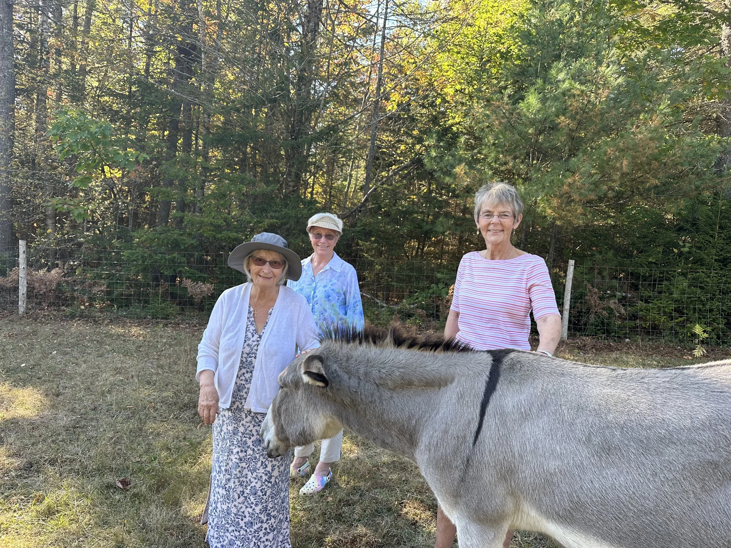 Private Pasture Visit
