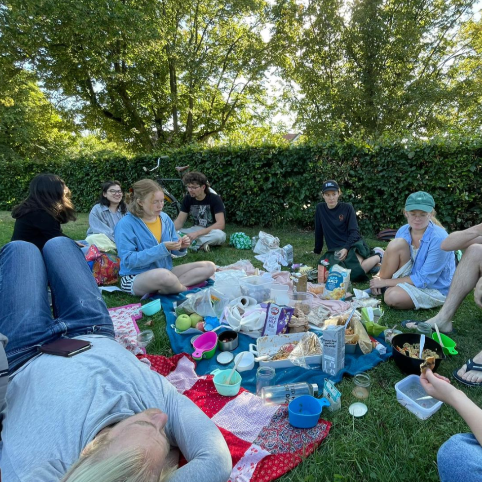 People having a picnic outdoors on a grassy area with a dense hedge and trees in the background. They are sitting on blankets and surrounded by food, drinks, and picnic items.