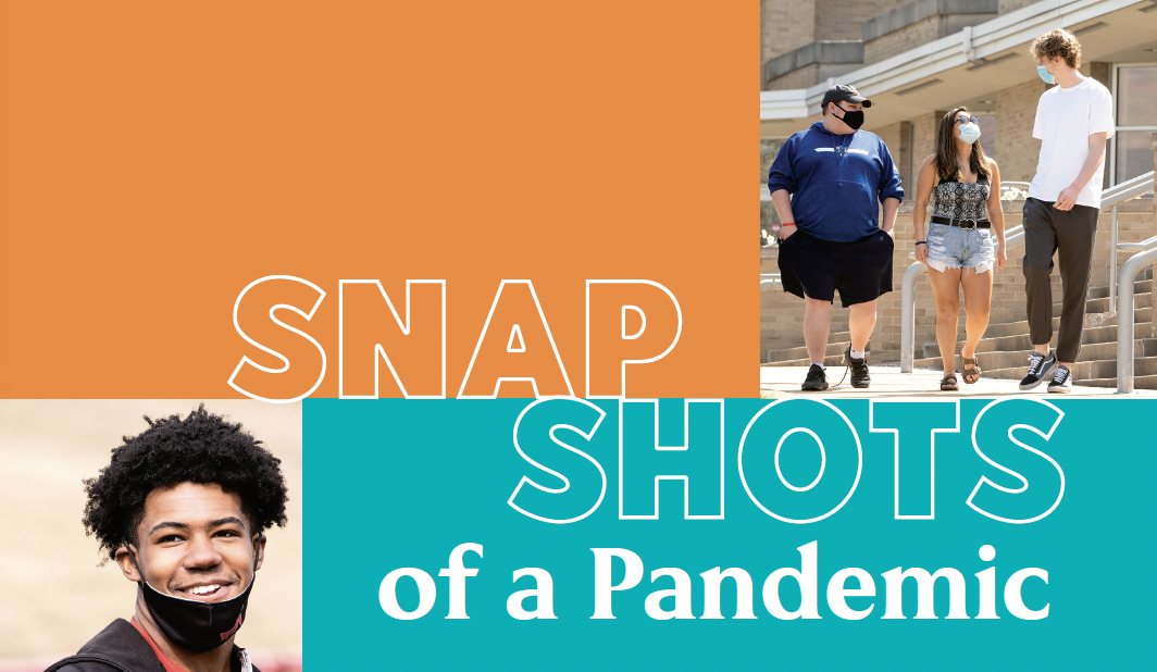 Snapshots of a Pandemic