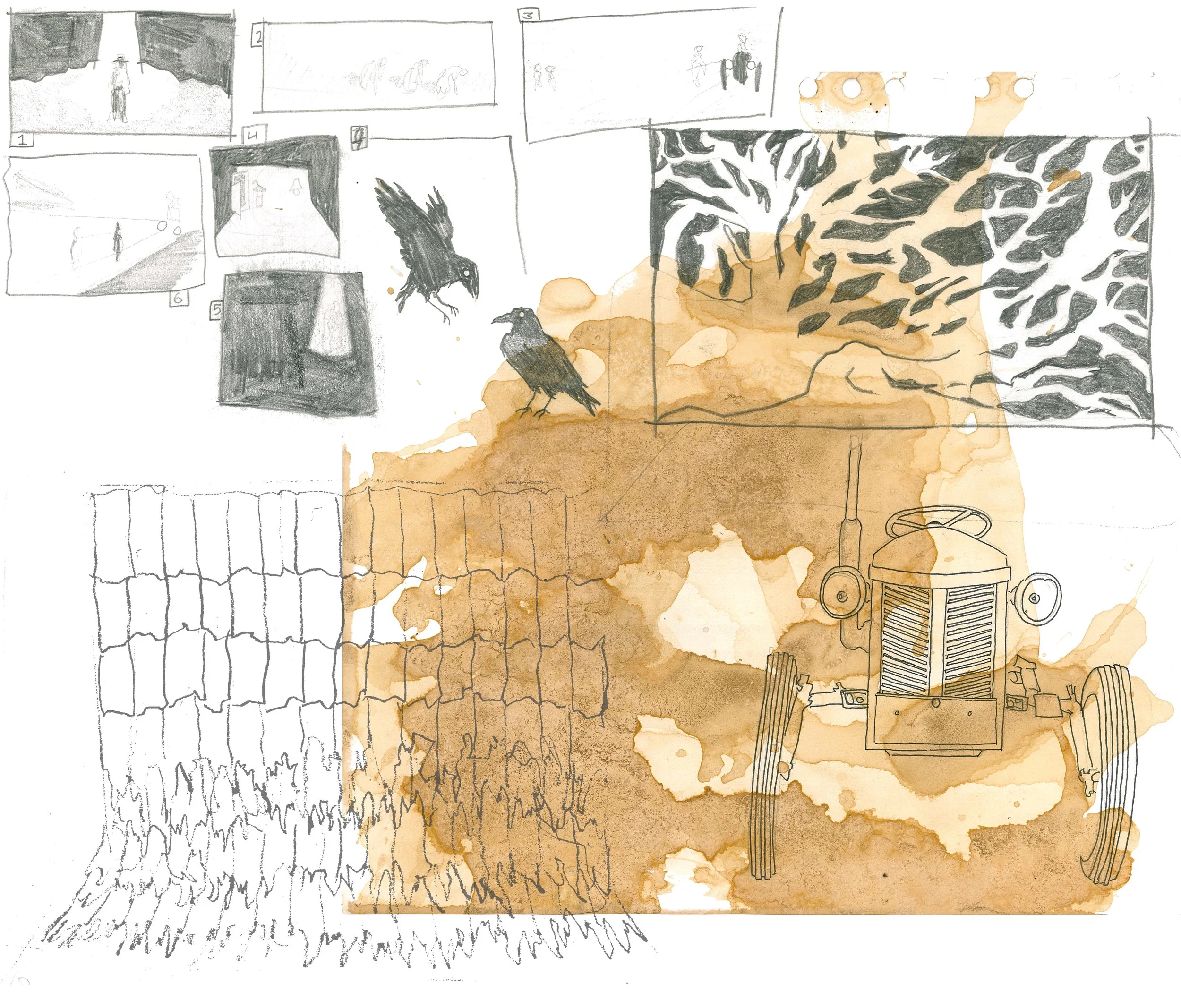 fen storyboard