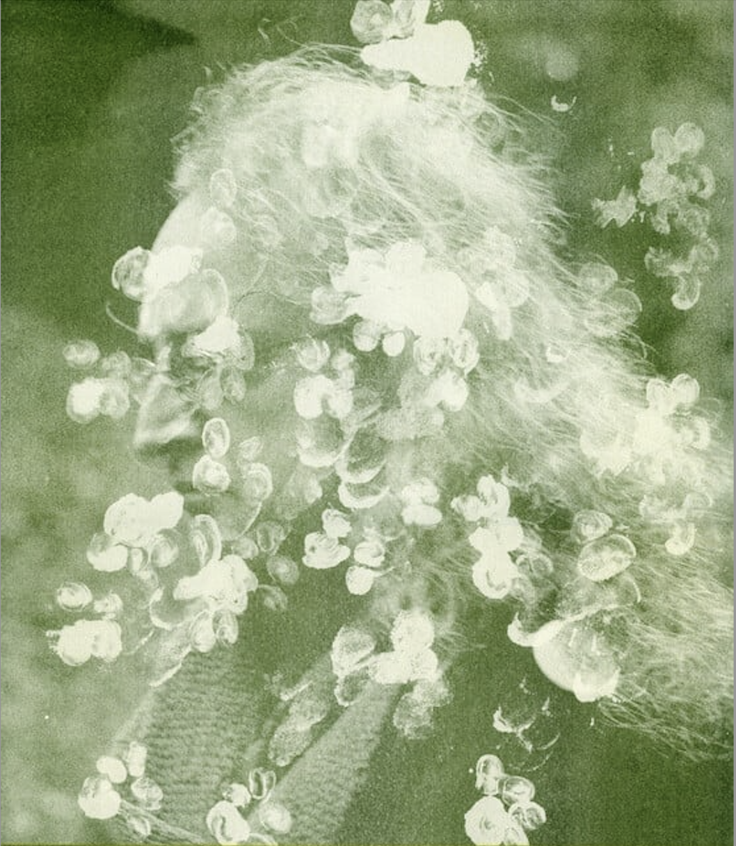 ENTREVISTA CON QUENTIN S. CRISP