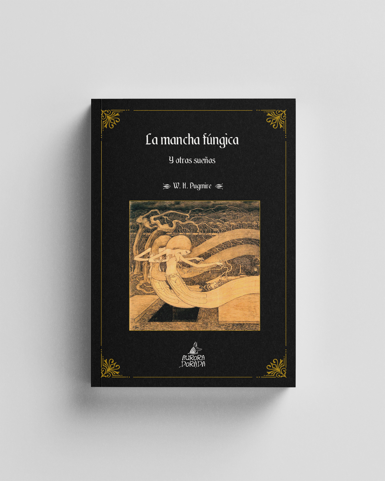 La mancha fúngica y otros sueños