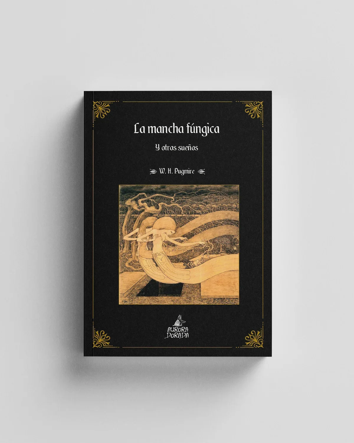 La mancha fúngica y otros sueños