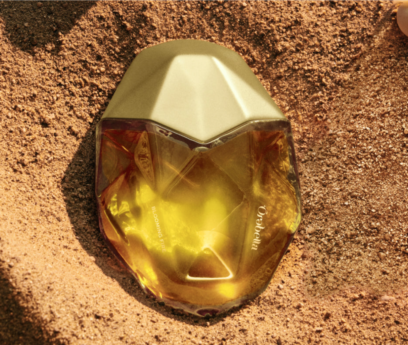 Screen Shot 2026-02-14 at 7.24.32 AM.png