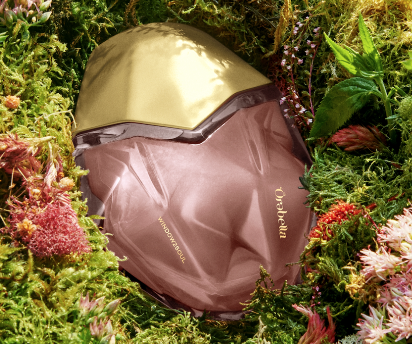 Screen Shot 2026-02-14 at 7.24.45 AM.png