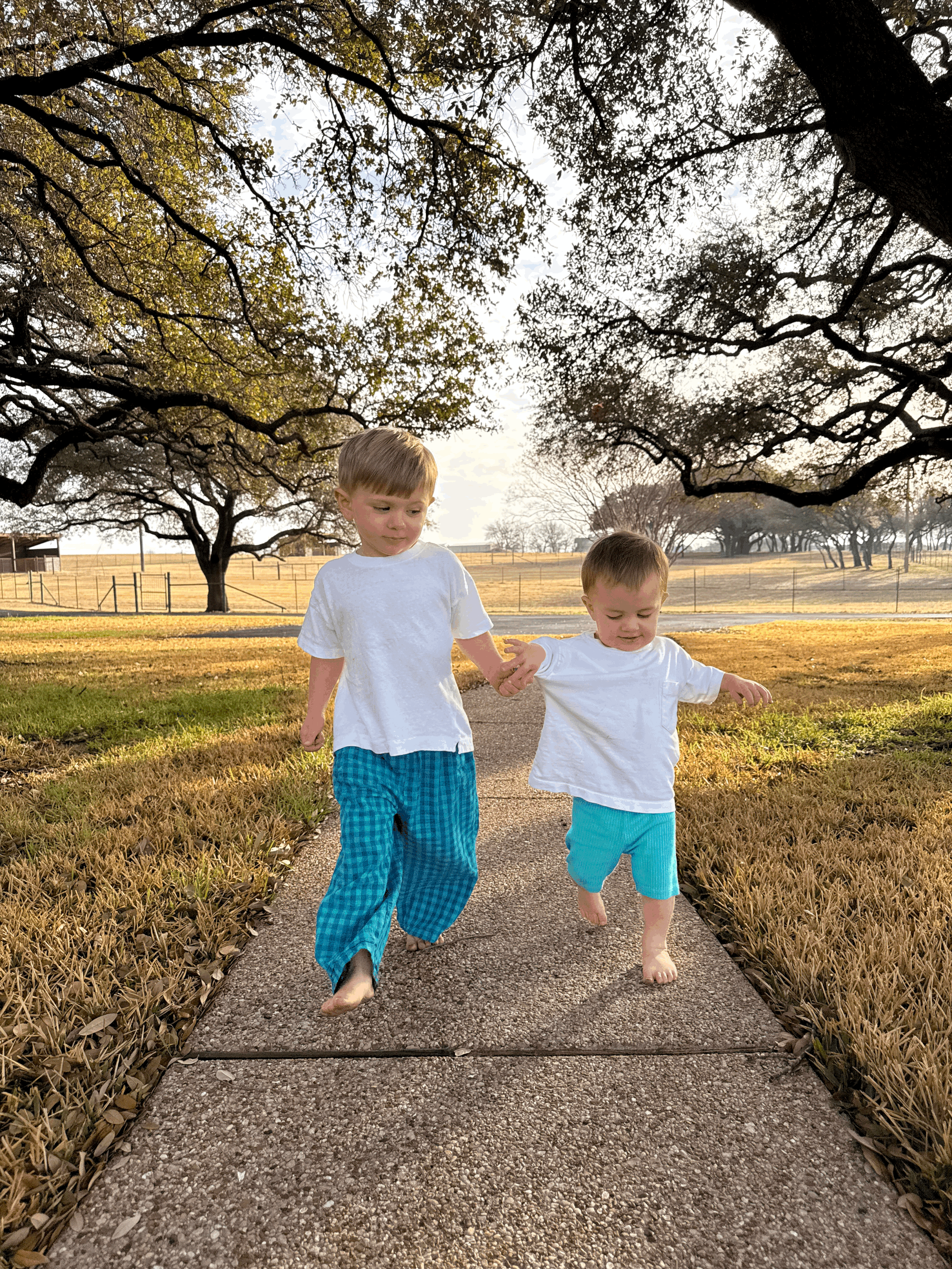 The Shape of our Days