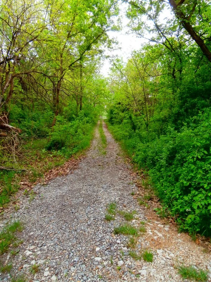 5.23 @ GNAWBONE CAMPGROUND