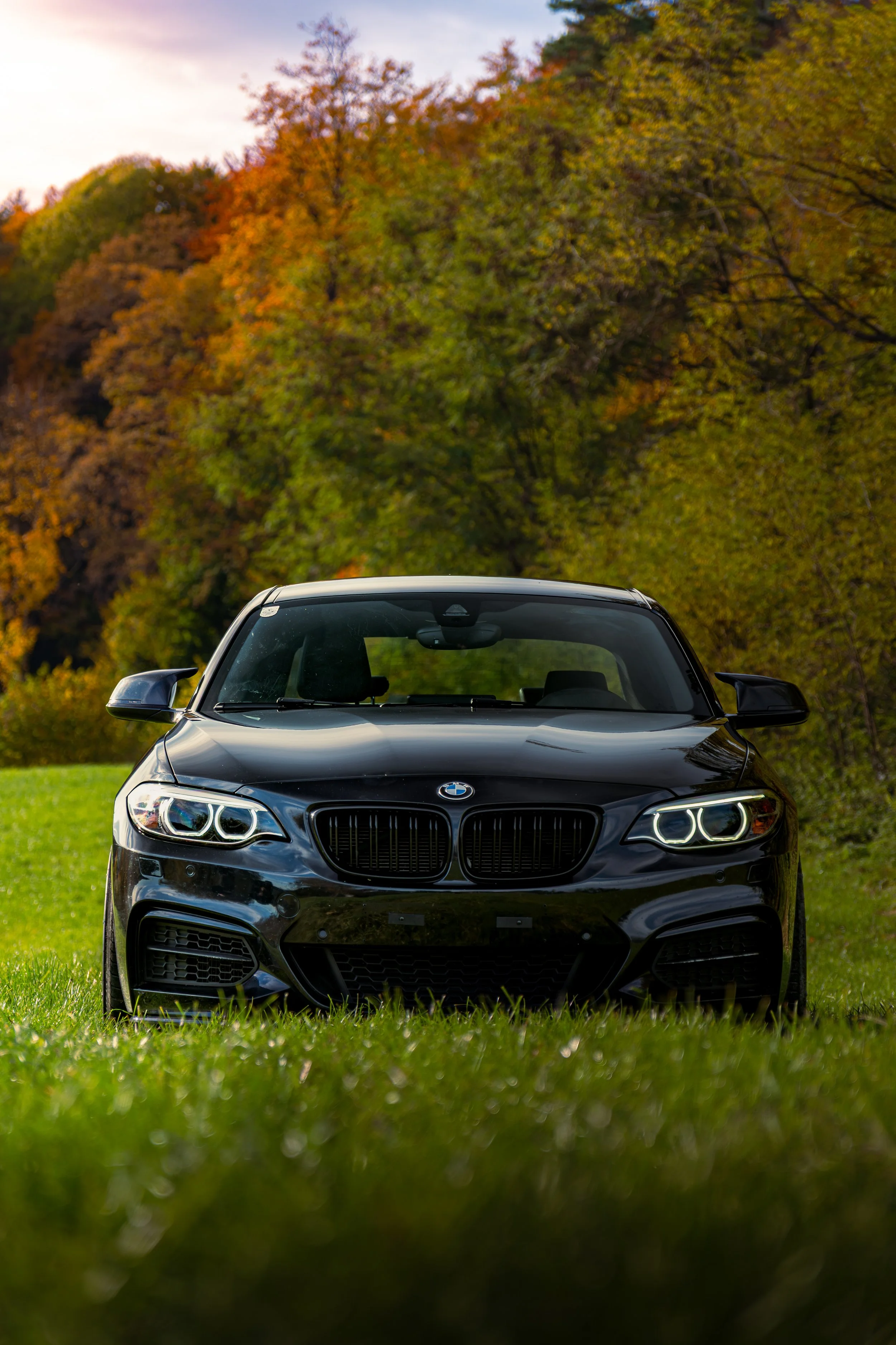 Schwarzer BMW 2er M240i xDrive Coupé steht auf grünem Rasen vor einem farbenfrohen Herbstbaum-Hintergrund.