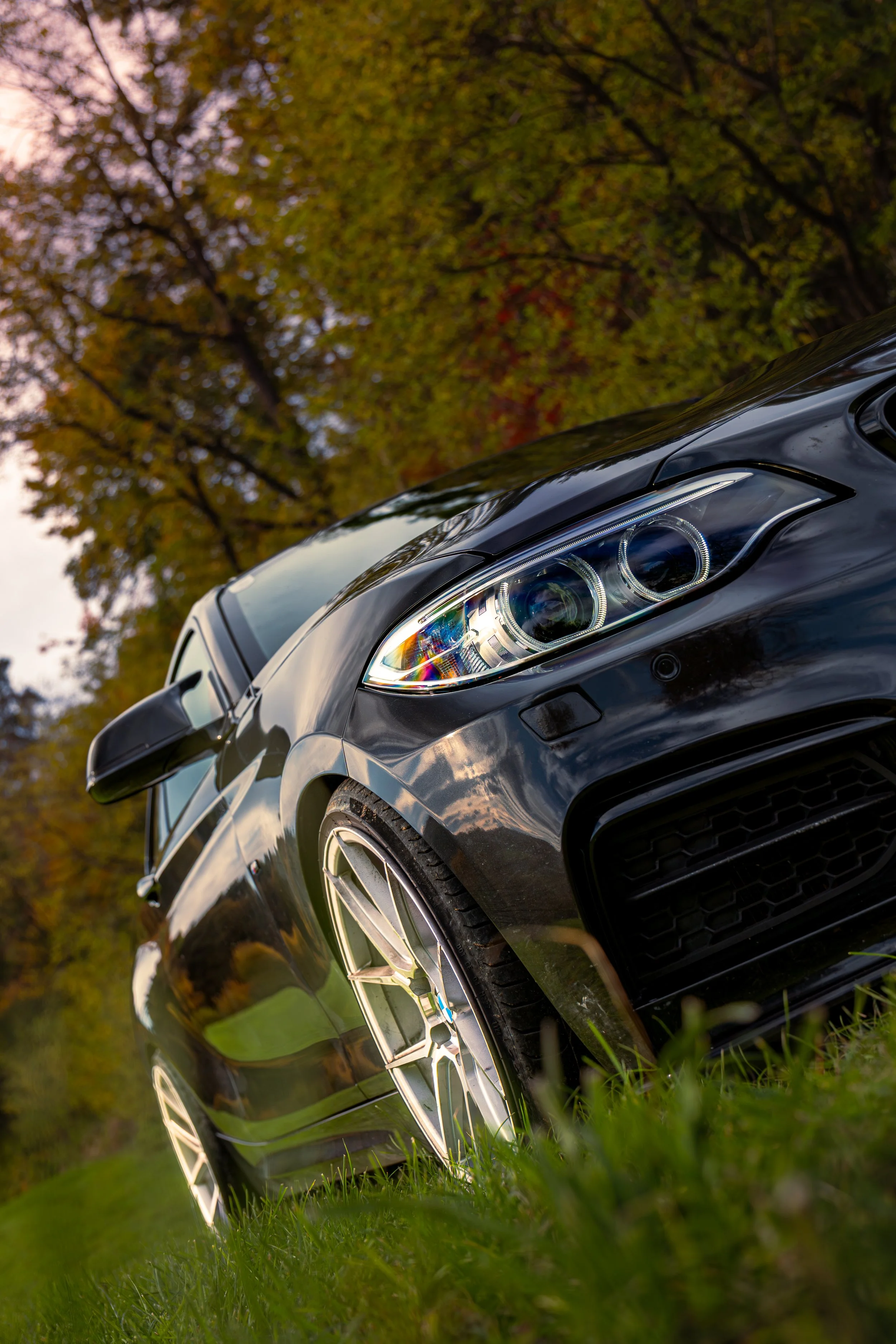 Ein schwarzes Auto auf grünem Gras, umgeben von Bäumen mit herbstlichen Blättern, Aufnahme im Freien bei Sonnenuntergang.