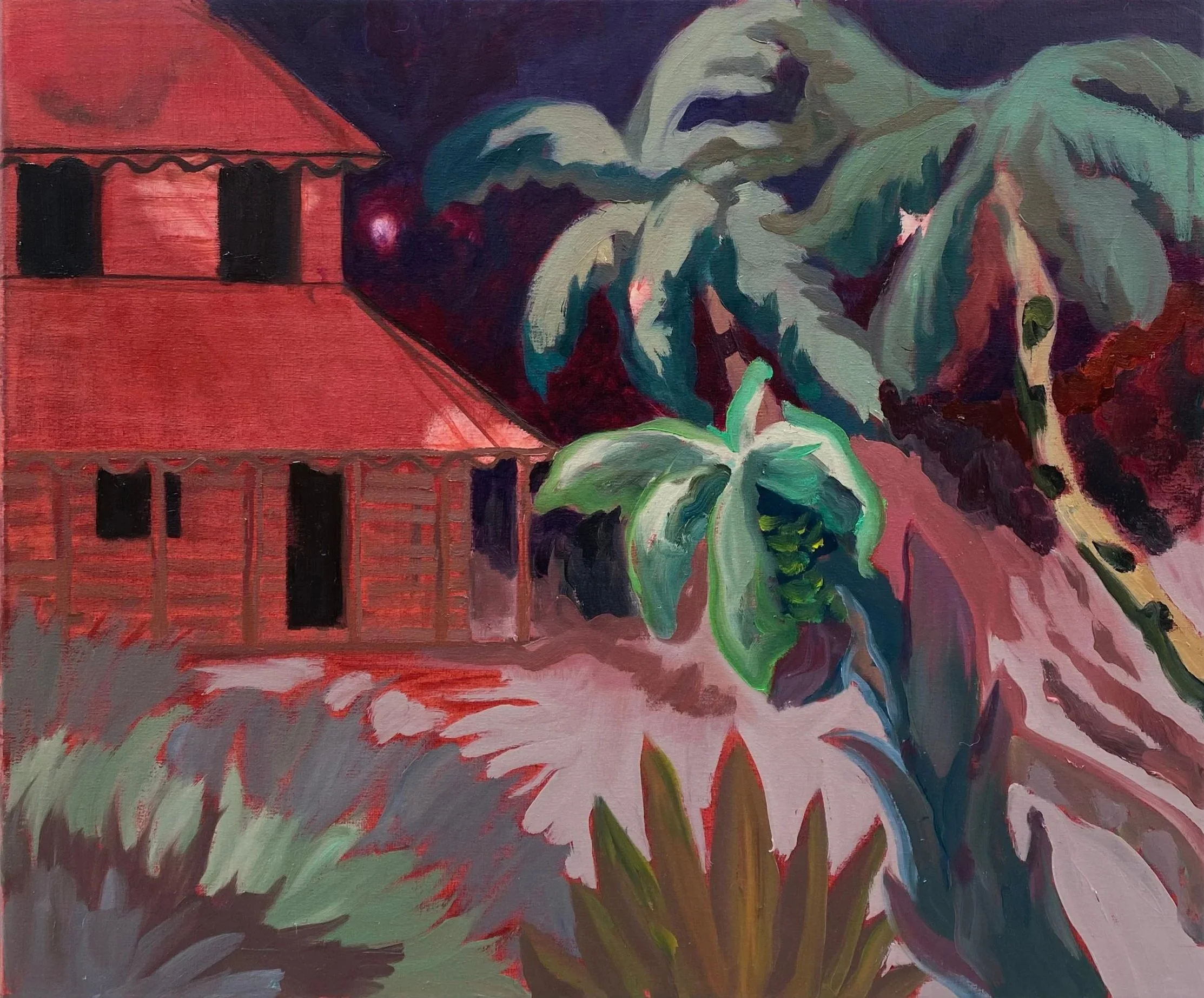 A colorful painting of a red house with a large flower and leafy plants in the foreground, set against a dark, starry night sky.