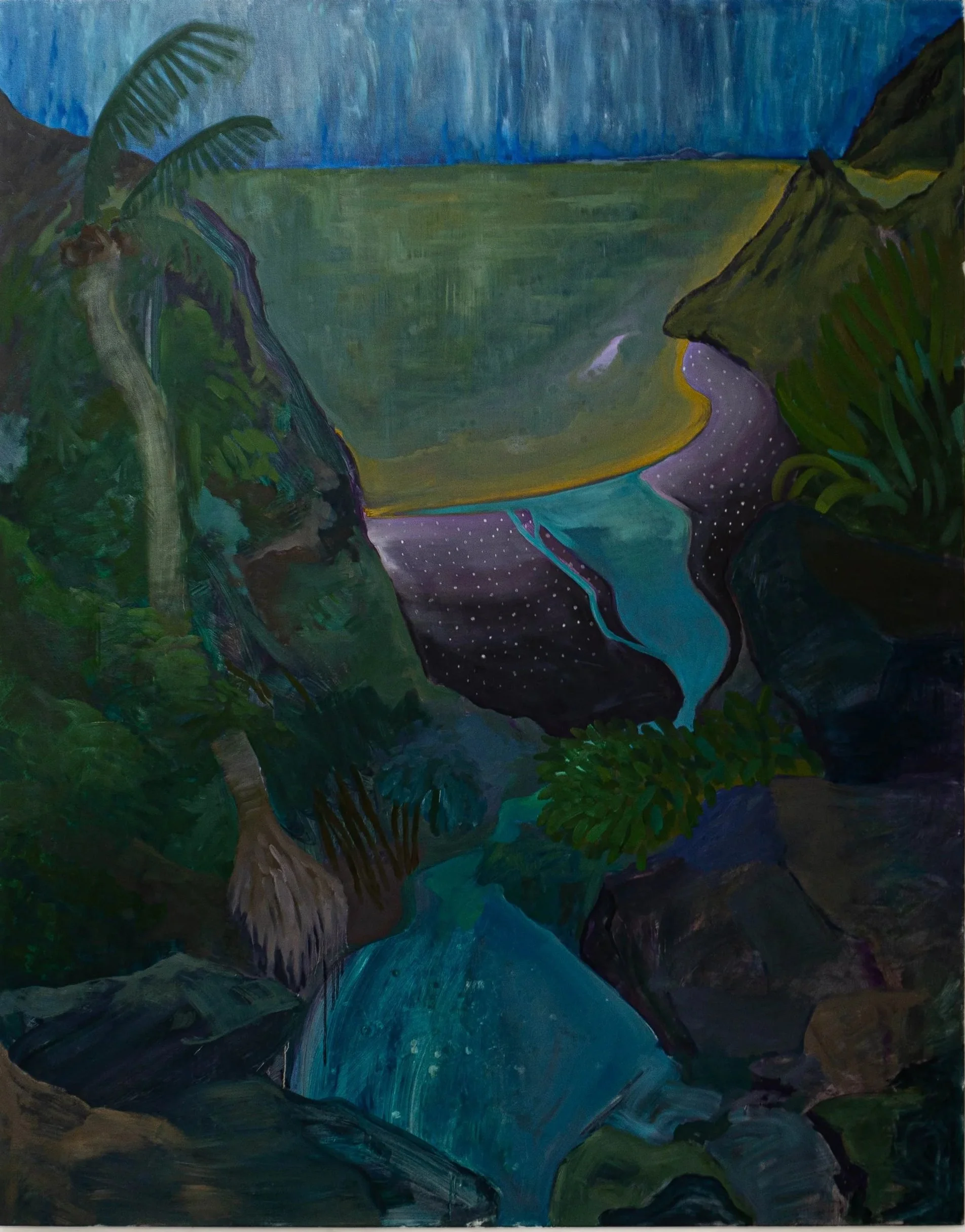 Painting of a tropical landscape featuring palm trees, green hills, a waterfall, and a starry night sky.