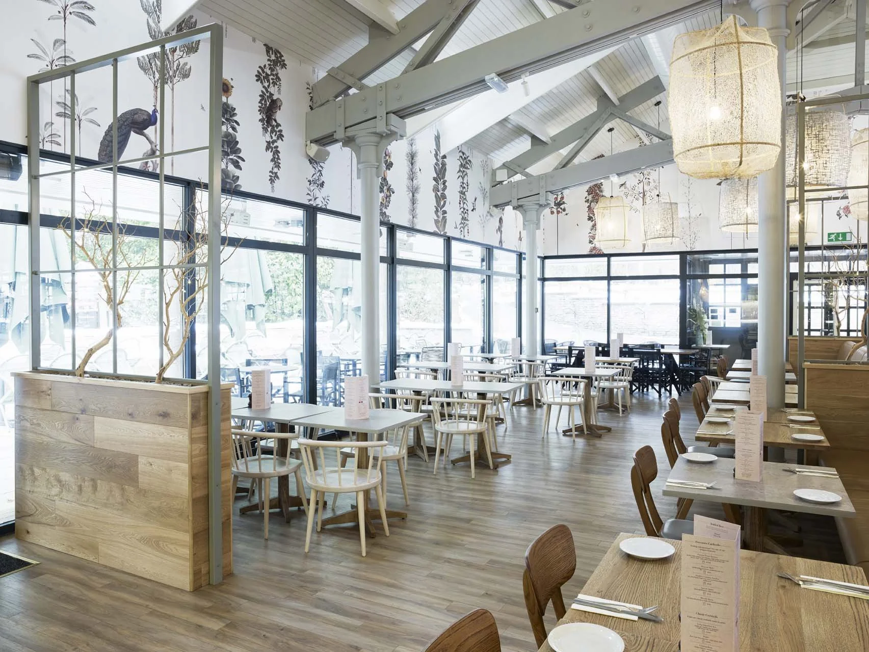 ND-Foresters-052 (1).jpg