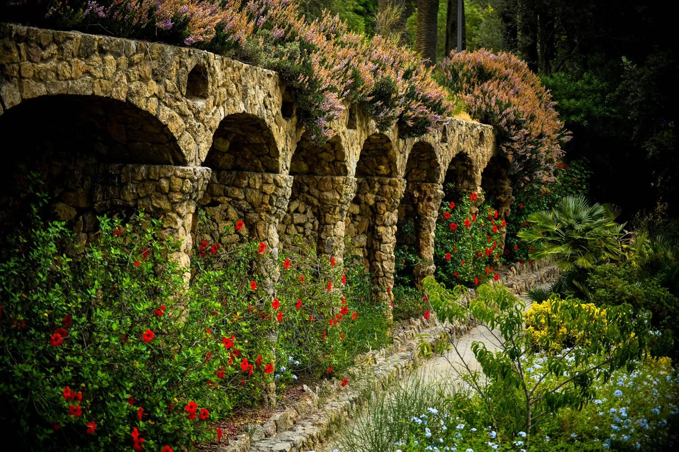 Park Güell Stone Arches — Red Flowers
