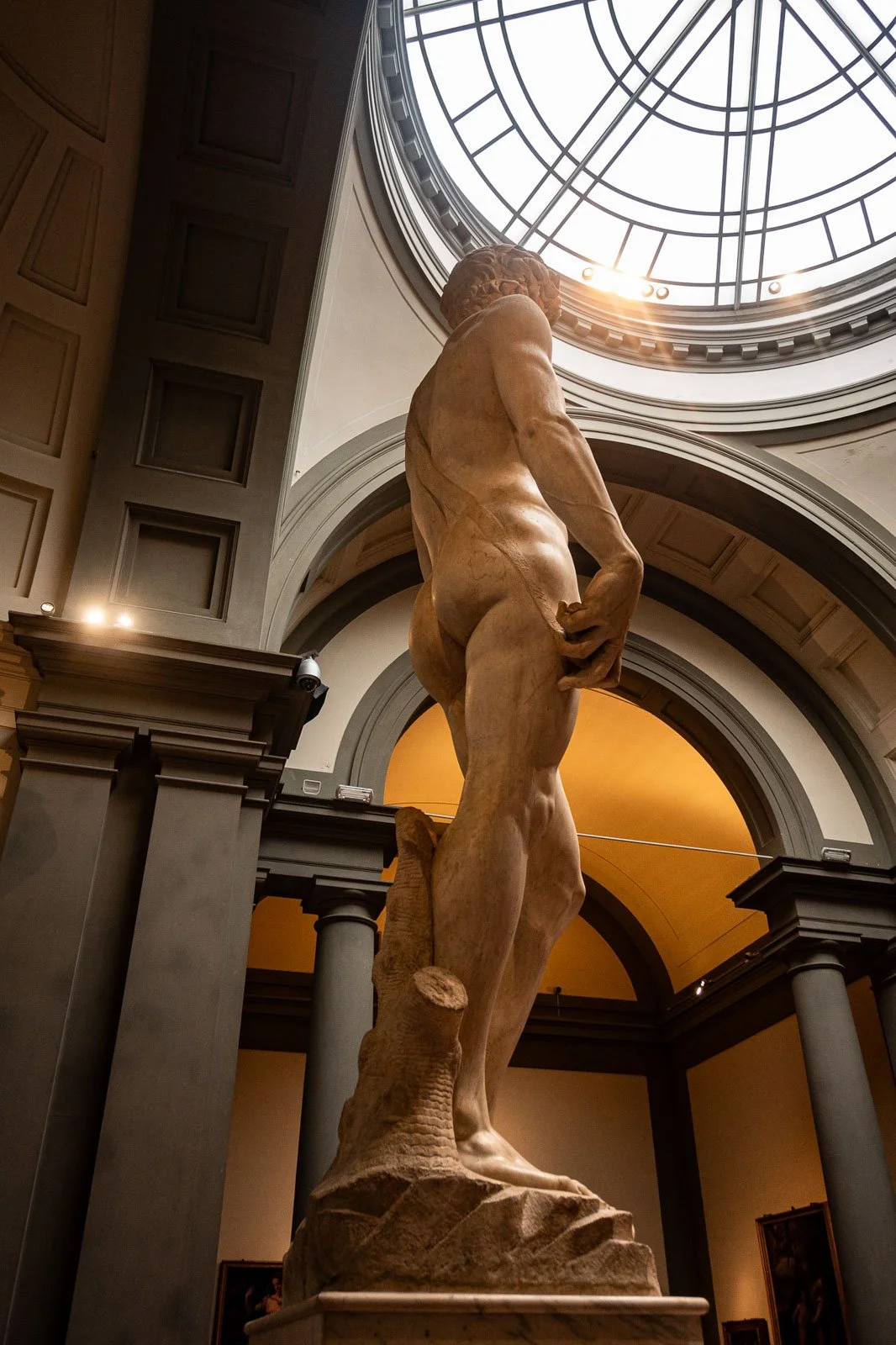 Michelangelo’s David From Behind, Dome View
