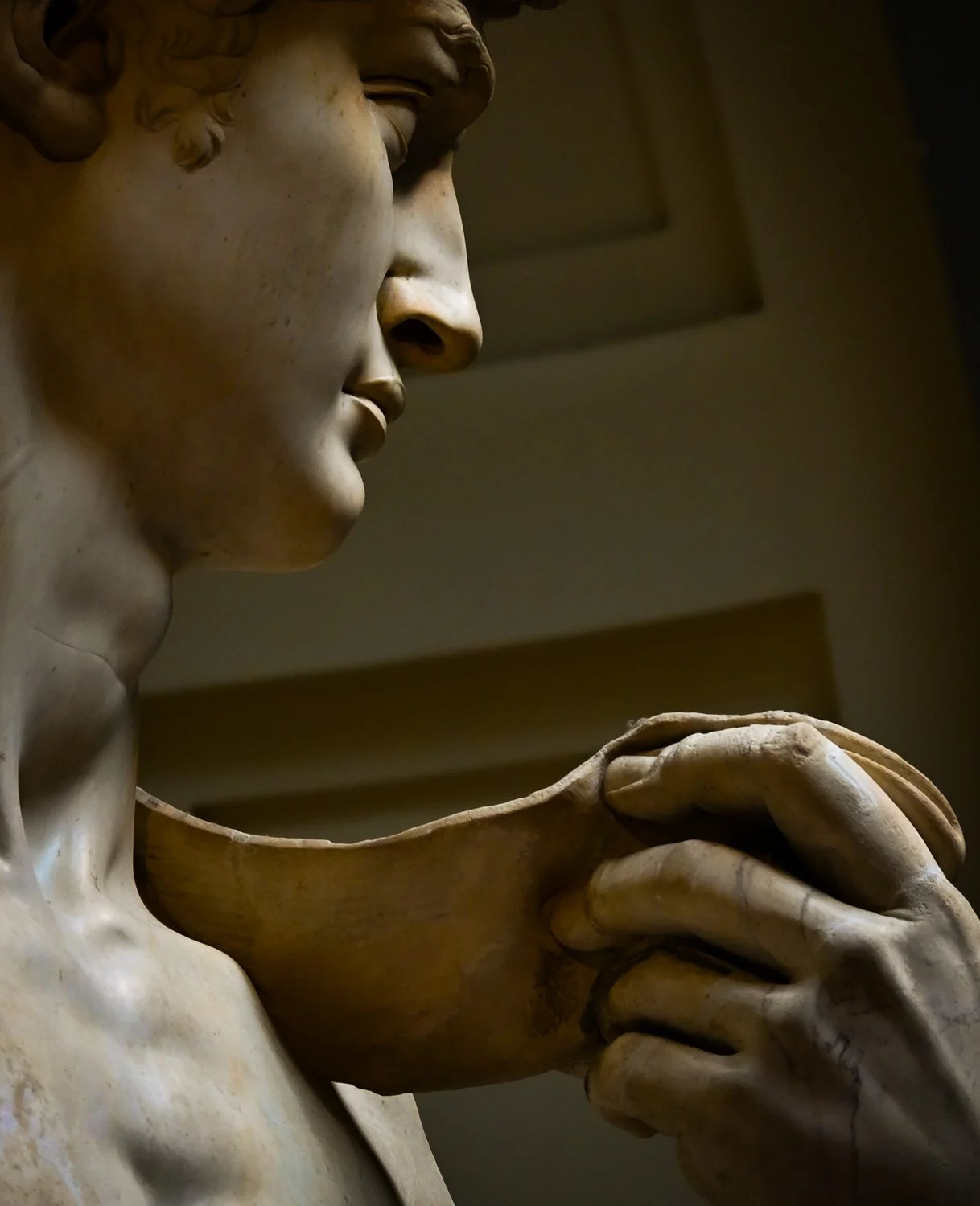 Michelangelo’s David — Face and Hand Detail